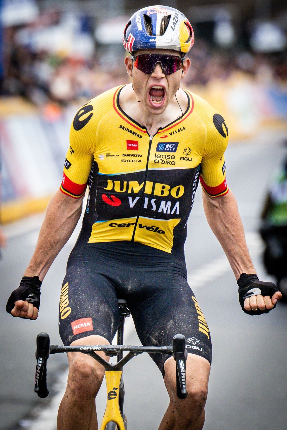 980x1470 Wout Van Aert Archives