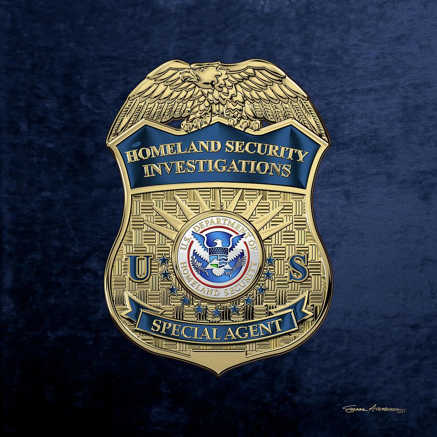 900x900 Homeland Security Investigations S I Special Agent New Badge over Blue Velvet