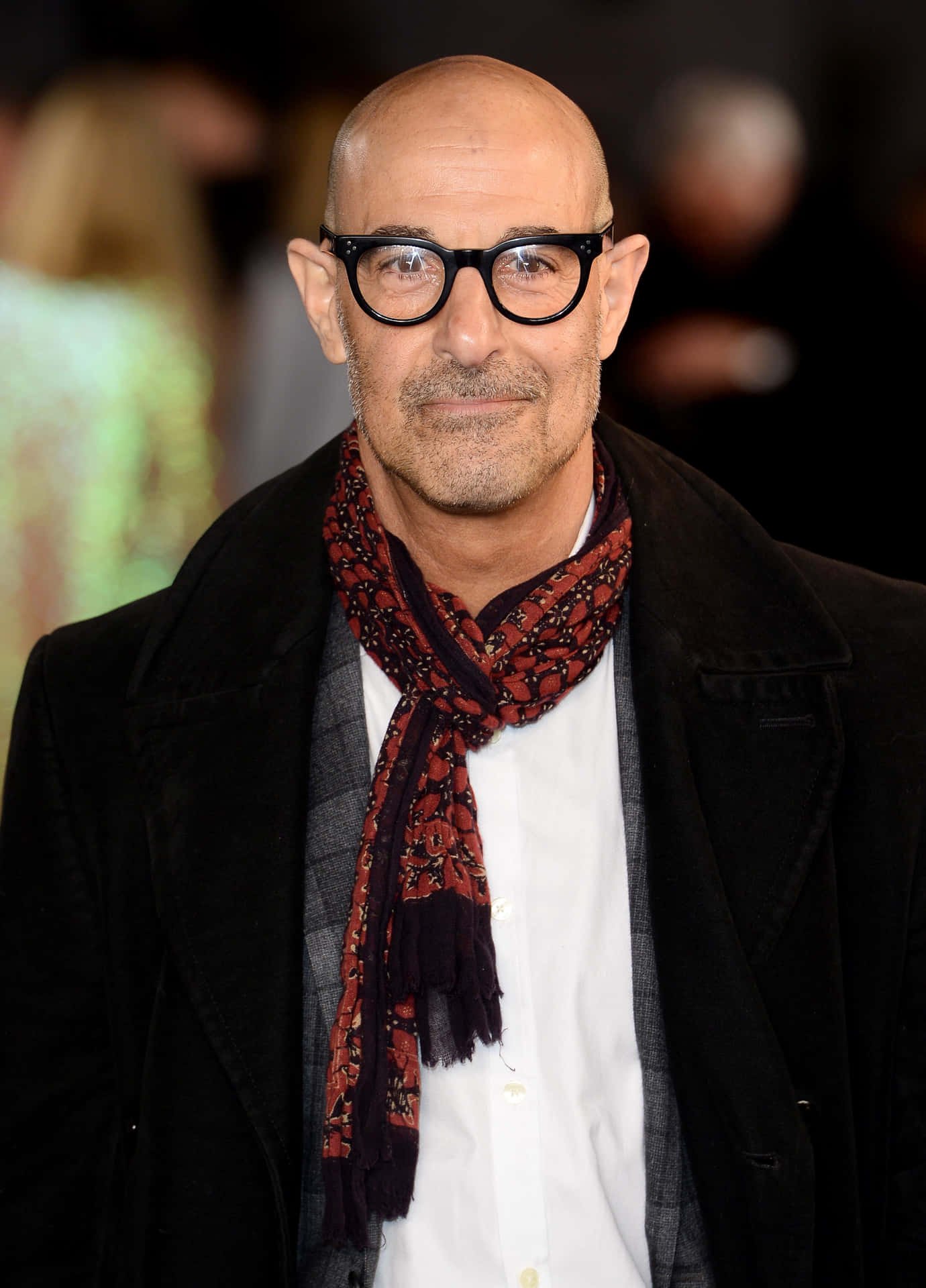 1380x1920 Stanley Tucci Wallpaper