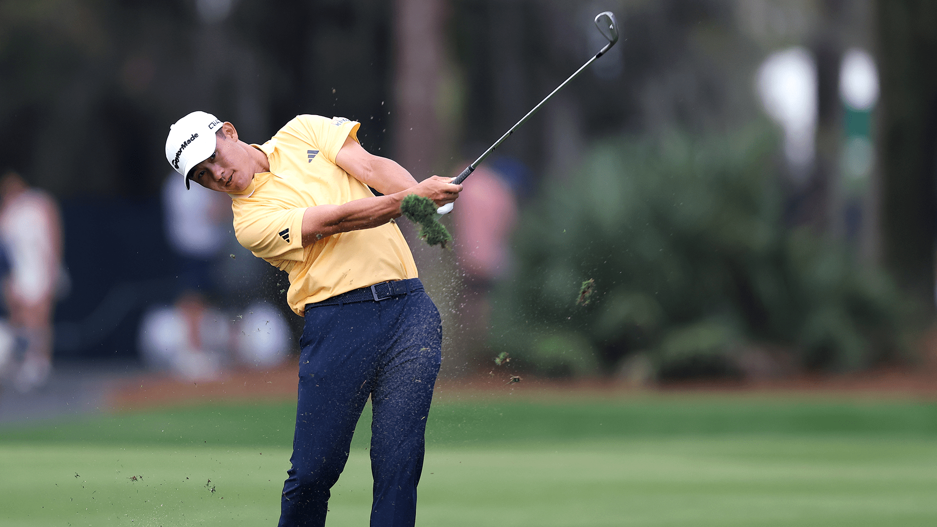 1920x1080 Breaking News: Collin Morikawa (Back) Withdraws From Players Championship