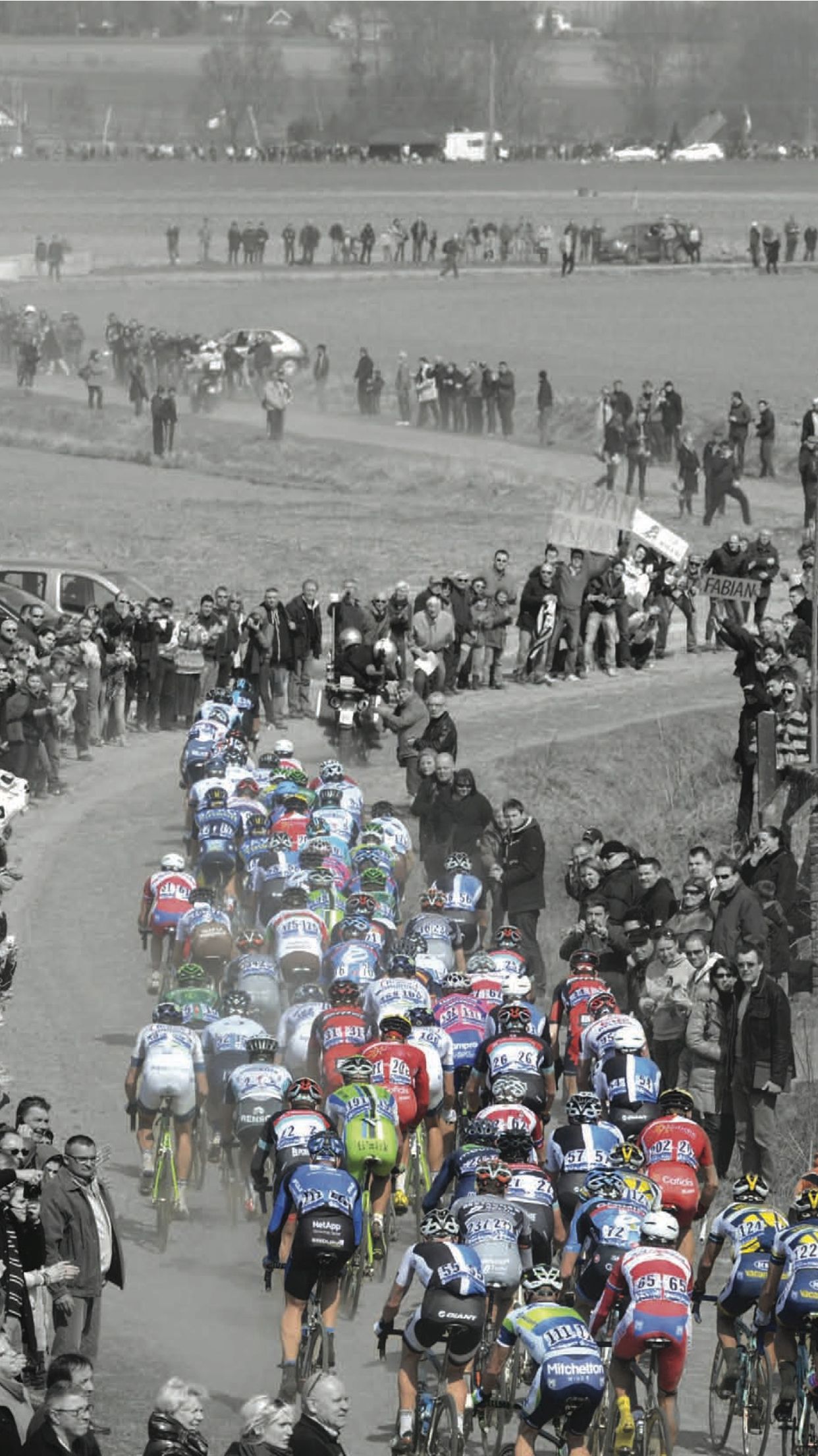 1242x2208 Paris Roubaix Wallpaper