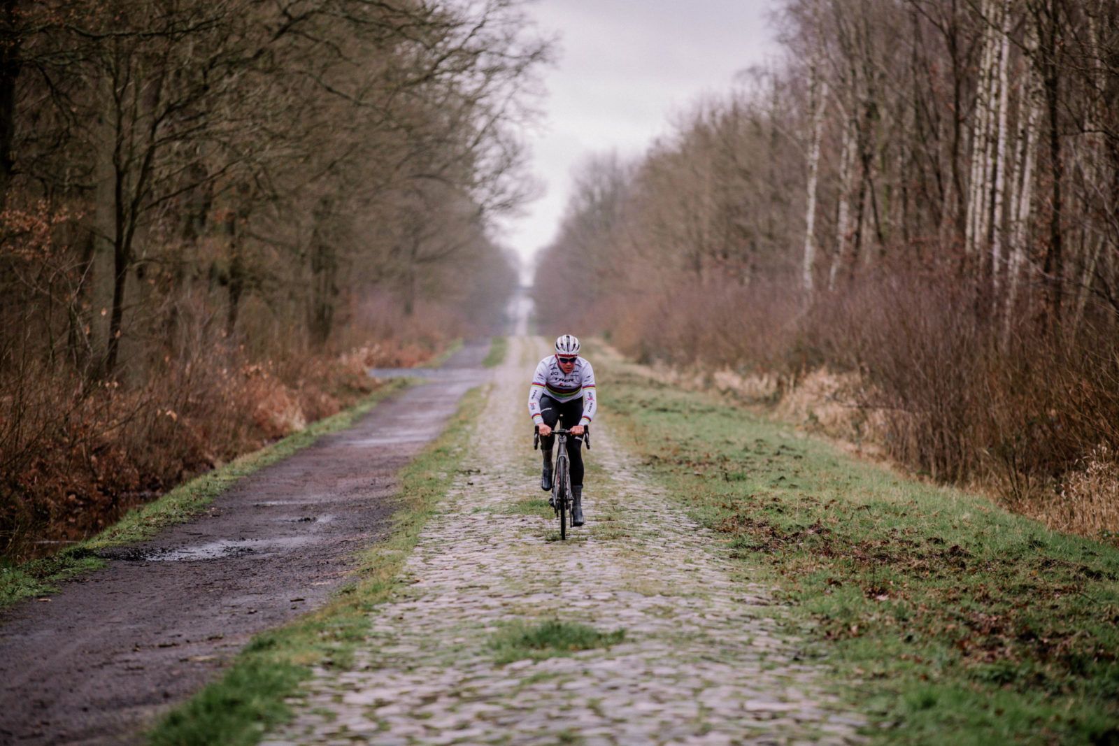 1600x1067 Roubaix roads push cycling's limits. Trek Race Shop