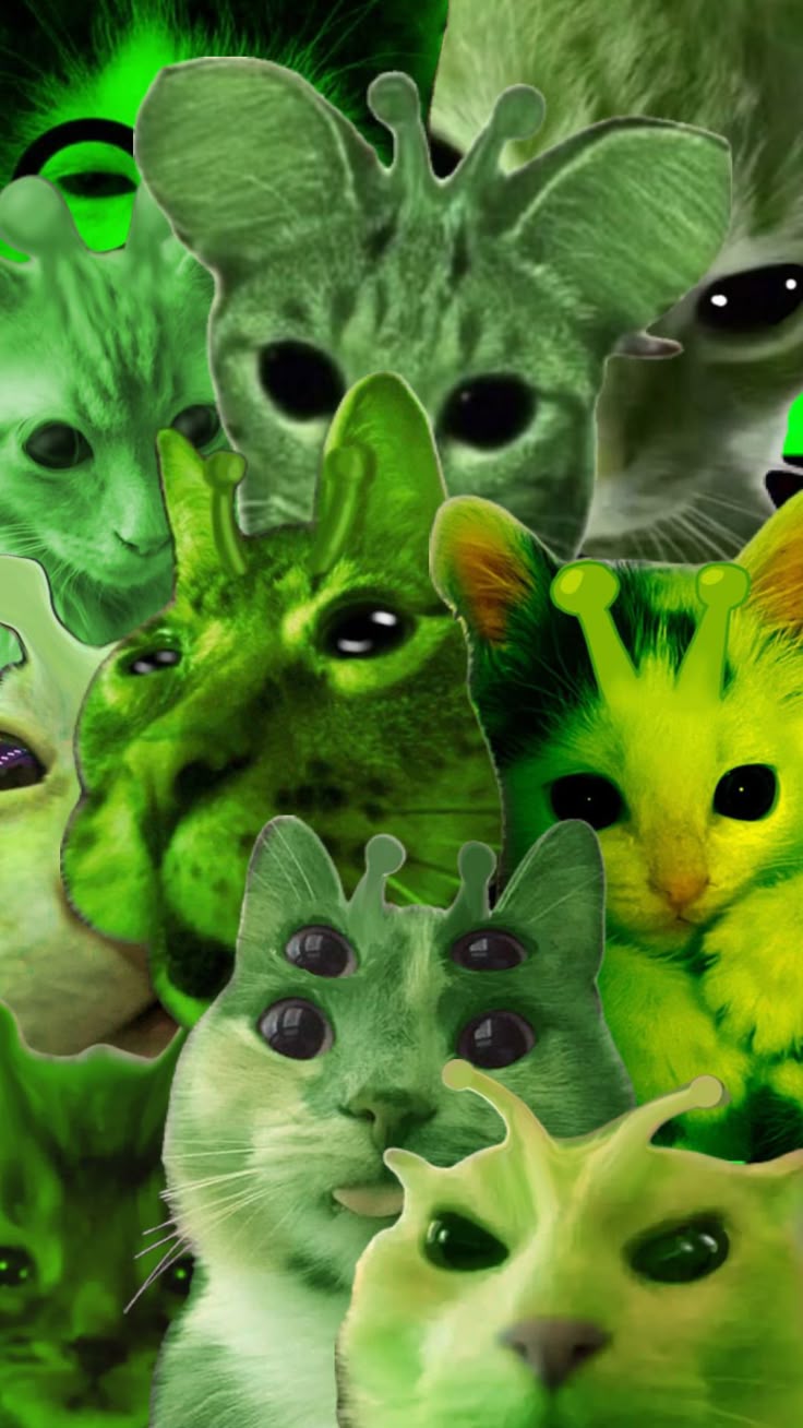 736x1308 Green Cat Alien Wallpaper