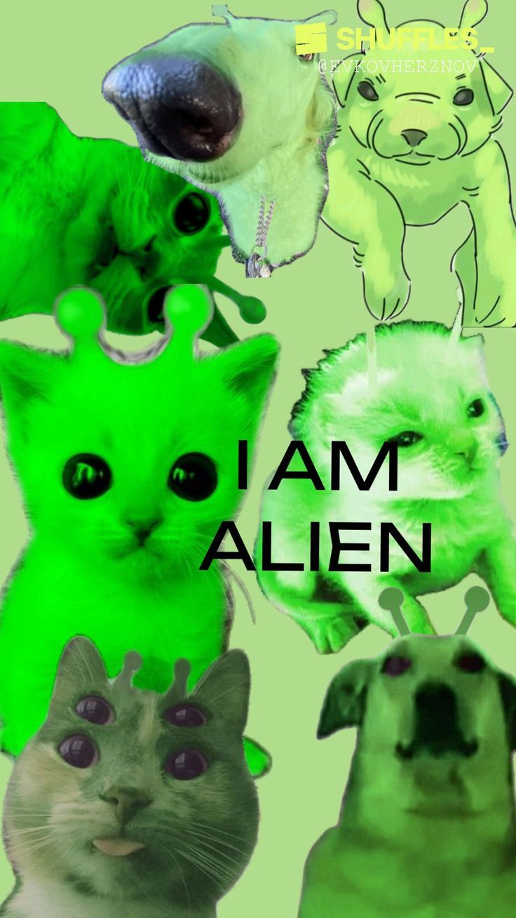 736x1308 Alien wallpaper