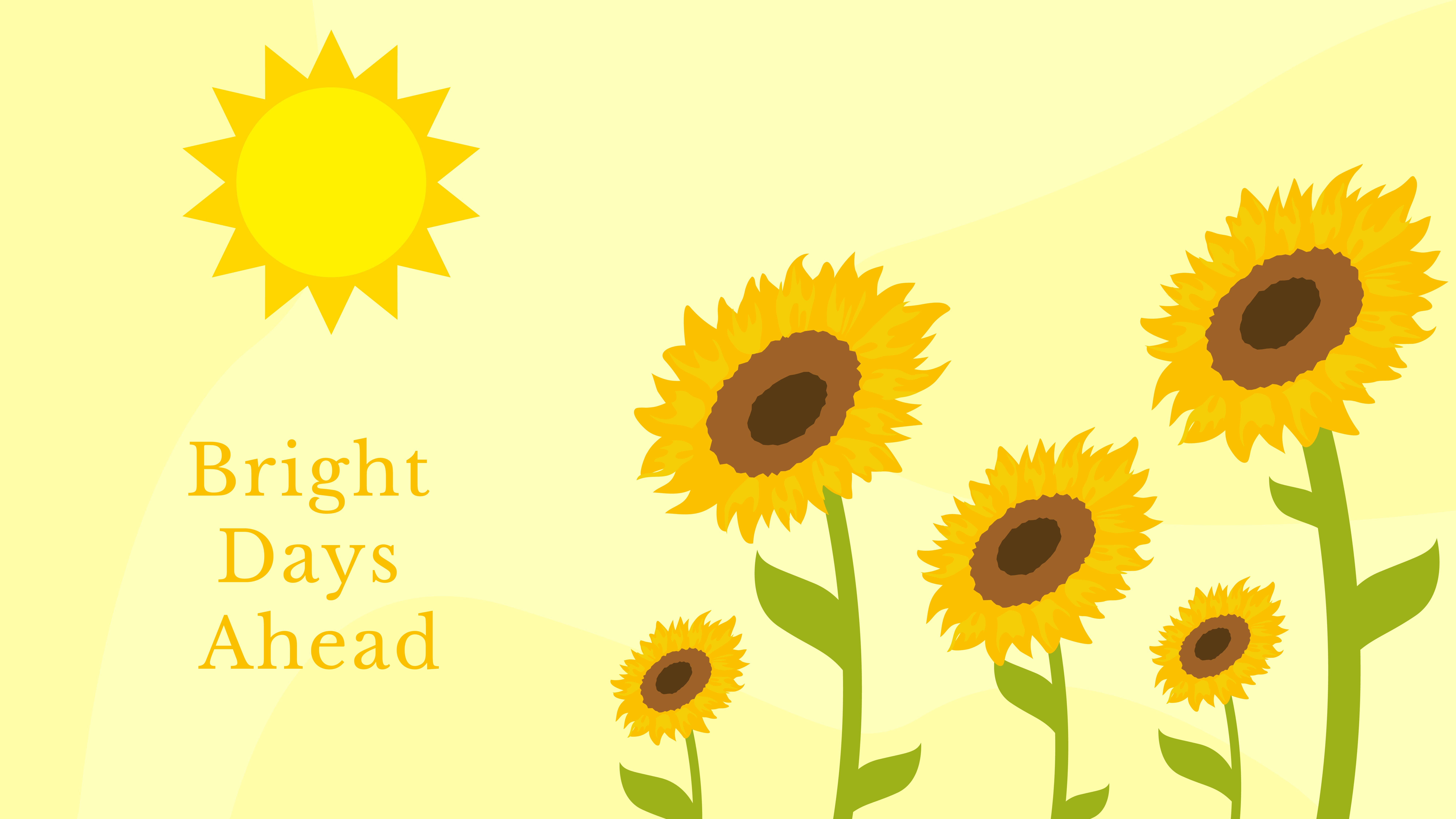 8000x4500 Free Sunflower Wallpaper Image to Customize Online and Download