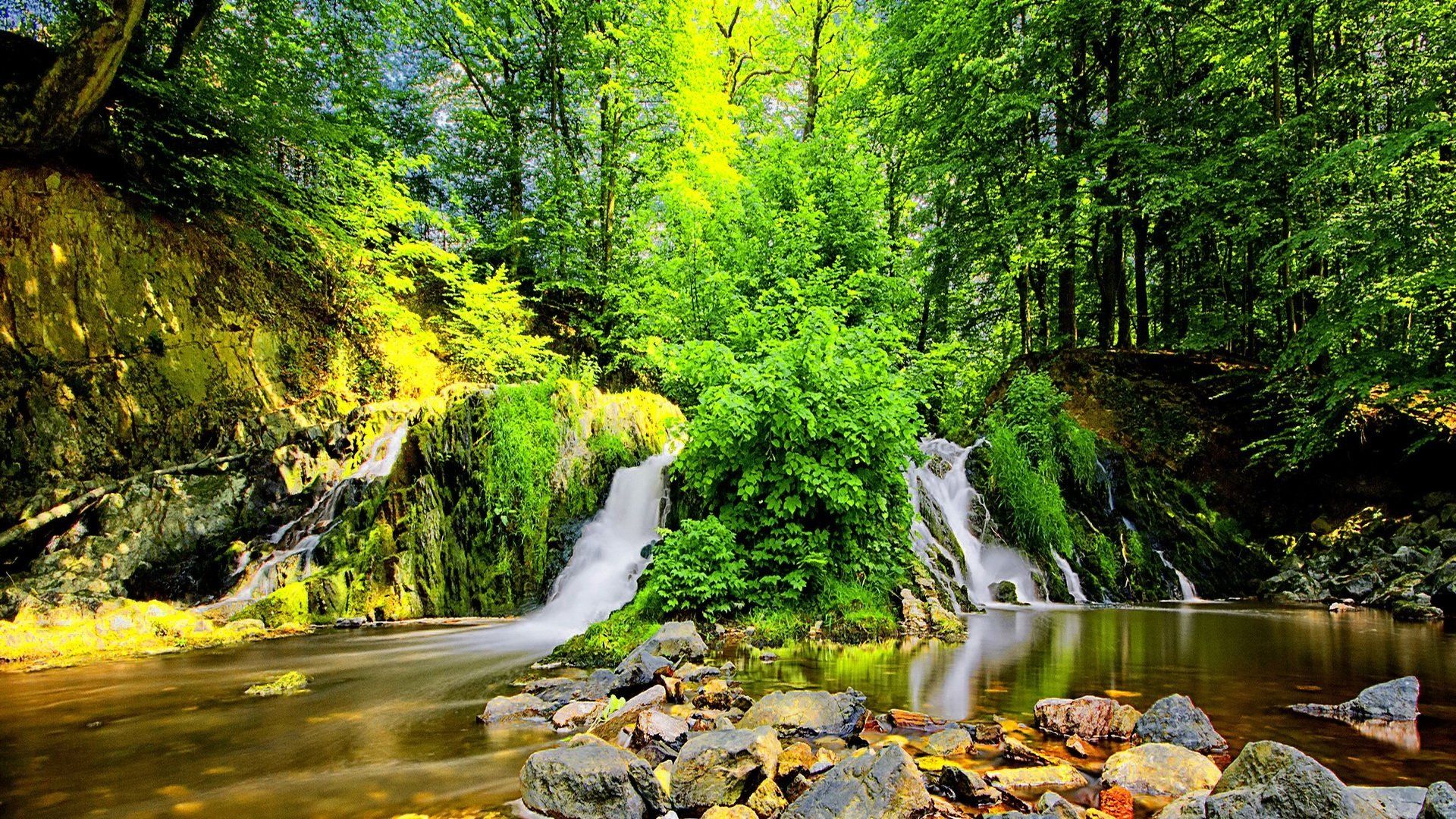 1920x1080 Vibrant Forest Waterfall HD Wallpaper: Nature's Green Serenityx1080