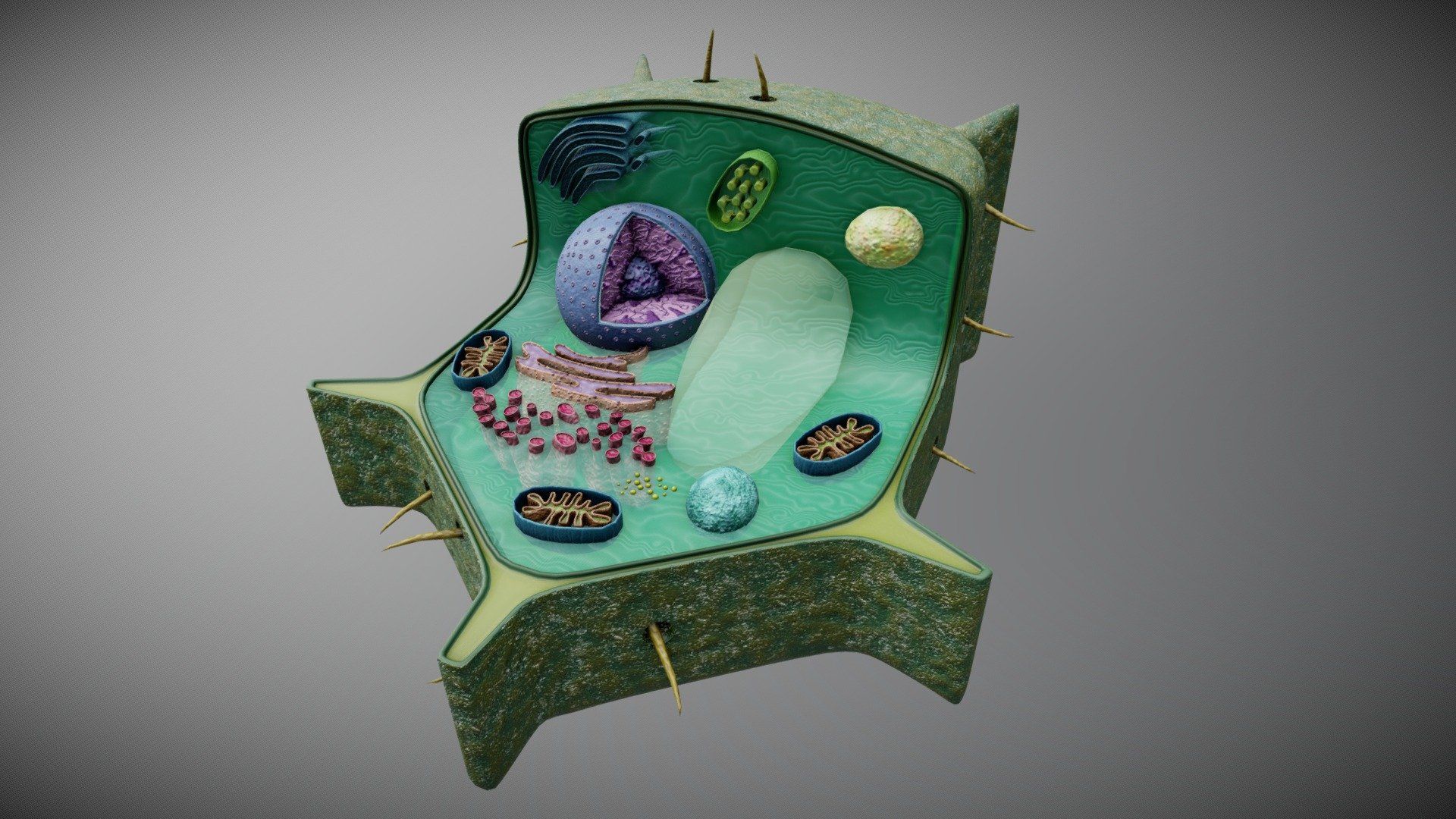 1920x1080 Plant Cell Structure Free 3D model by Vida Systems [1c5ce80]