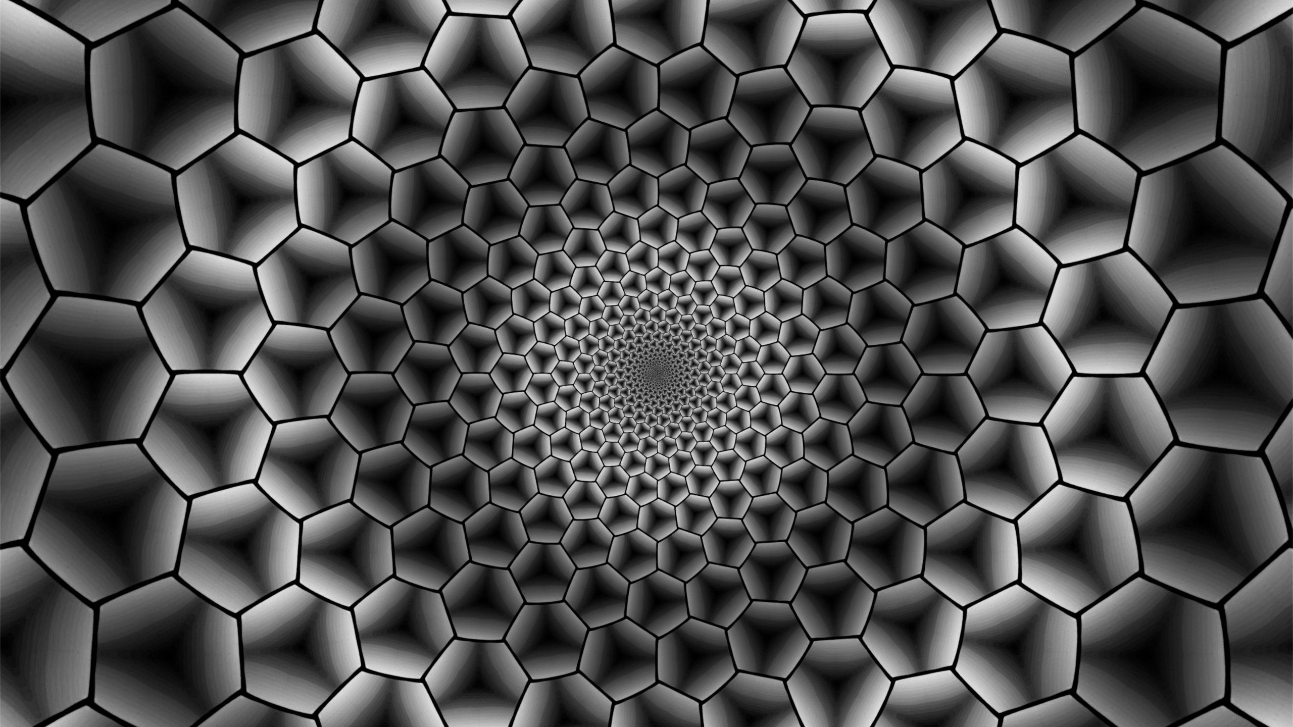 2560x1440 Abstract Hexagons Immersion Monochrome Wallpaper 4K HD Wallpaper