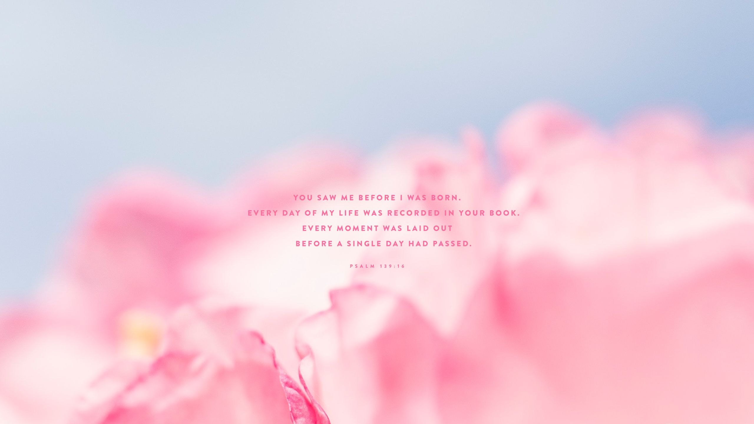 2560x1440 May Background: Free Download for Your Phone, Tablet or Desktop