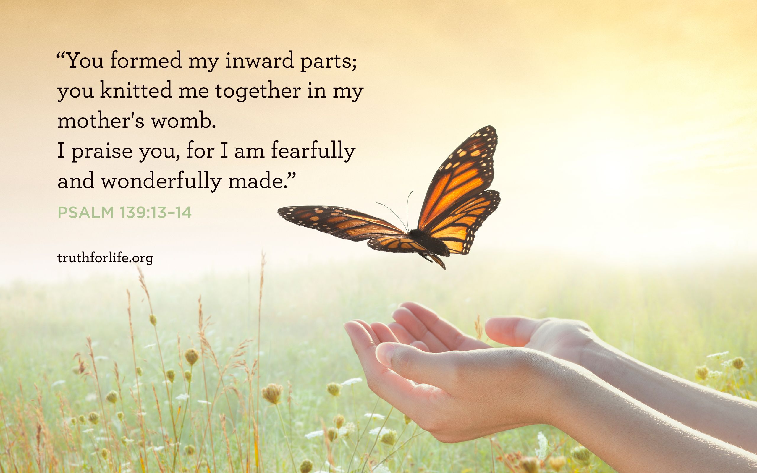 2560x1600 Wonderfully Made: Wallpaper
