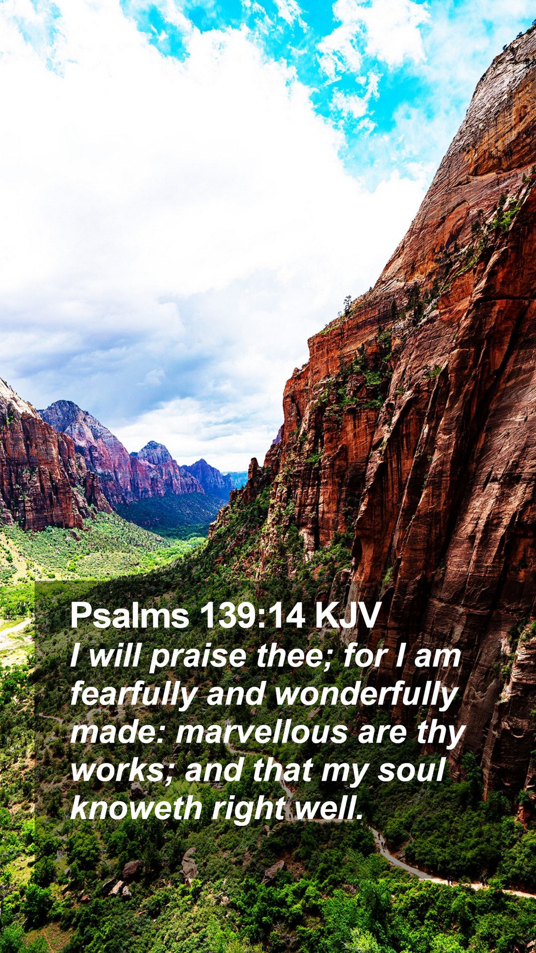 1080x1920 Psalm 139:14 Wallpaper