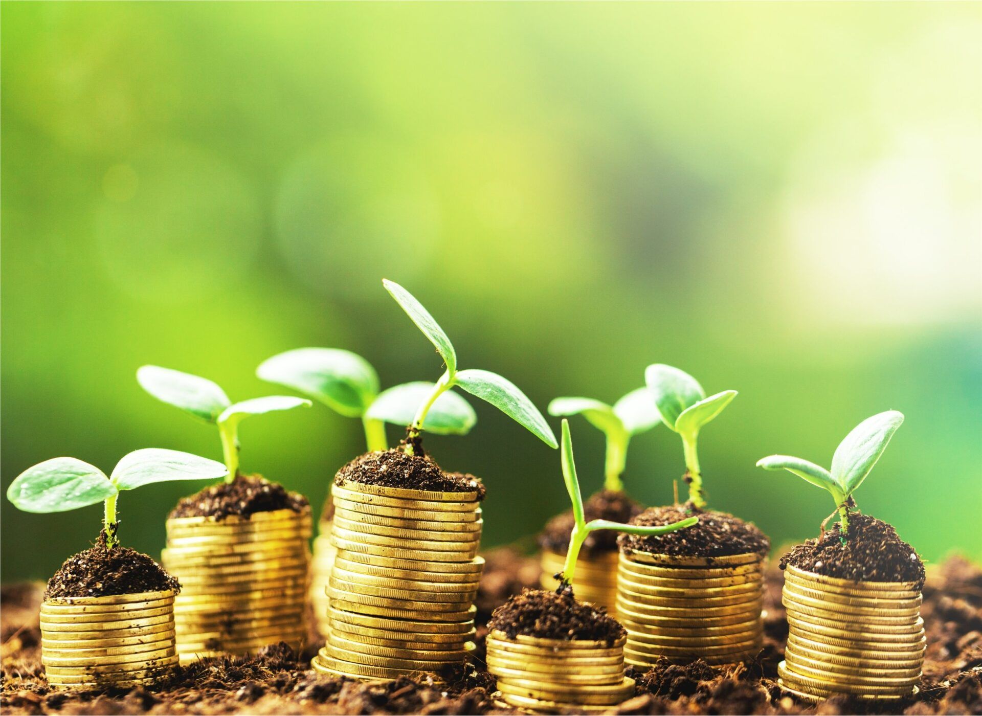 1920x1400 Understanding the SEC Newly Proposed ESG Disclosure Requirements