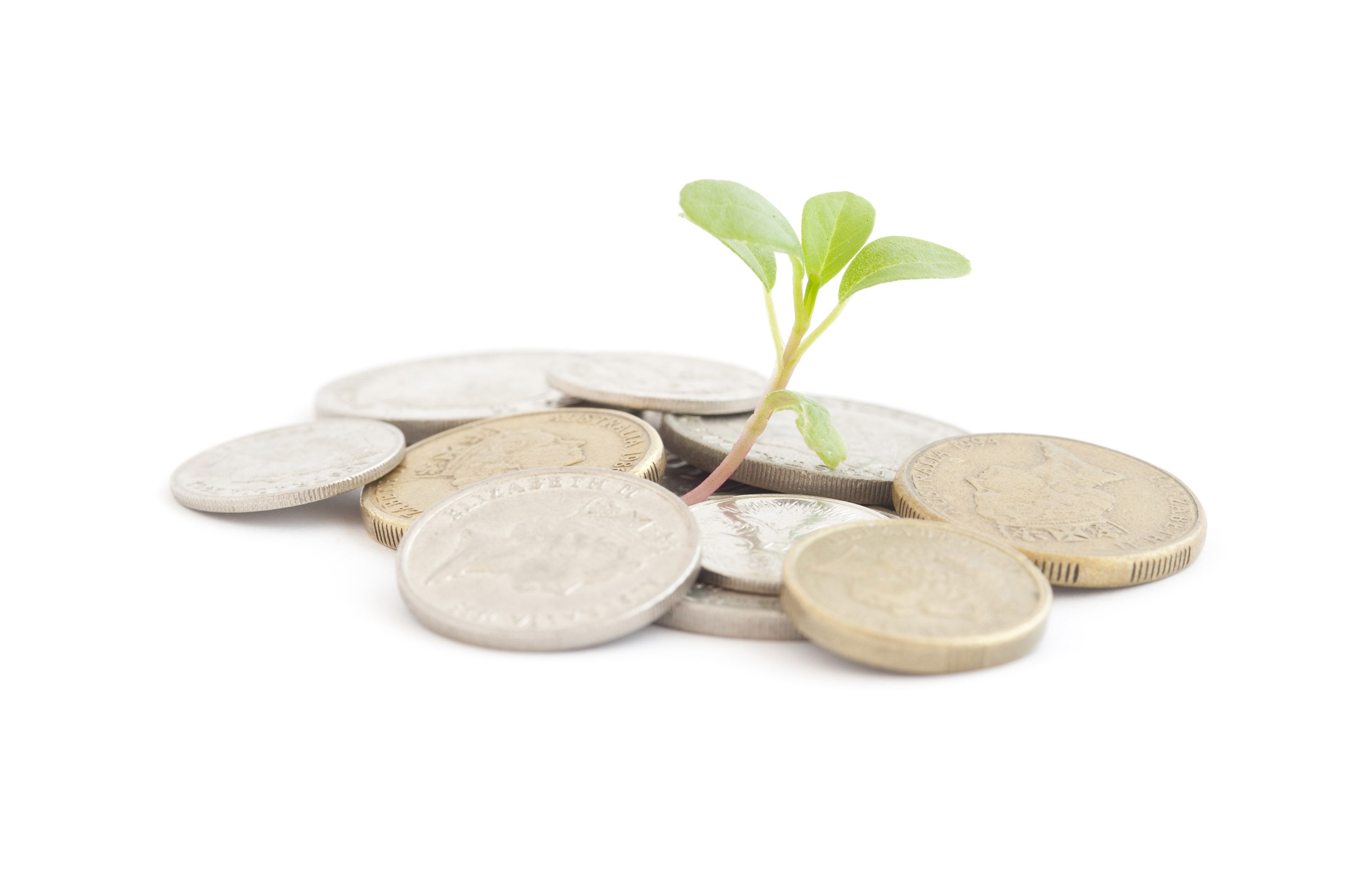 3200x2129 Free 4975 small money tree