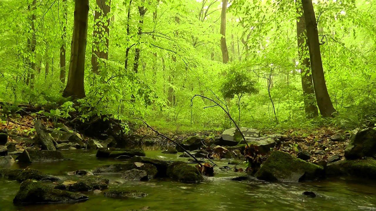 1280x720 Beautiful Relaxing Nature Wallpaper