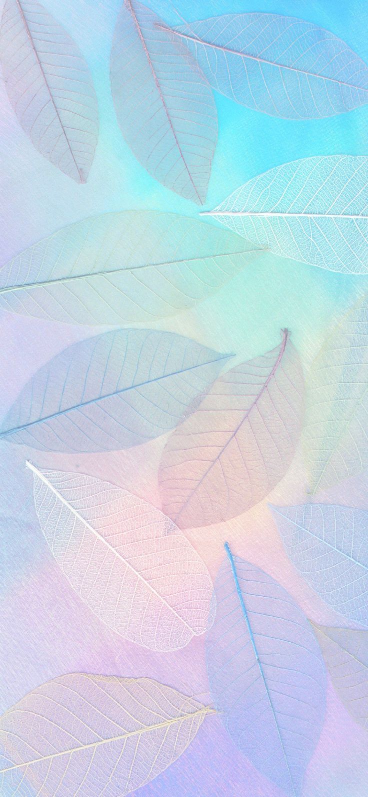 736x1592 Pinterest. Pastel background wallpaper, Pastel color wallpaper, Blue aesthetic pastel