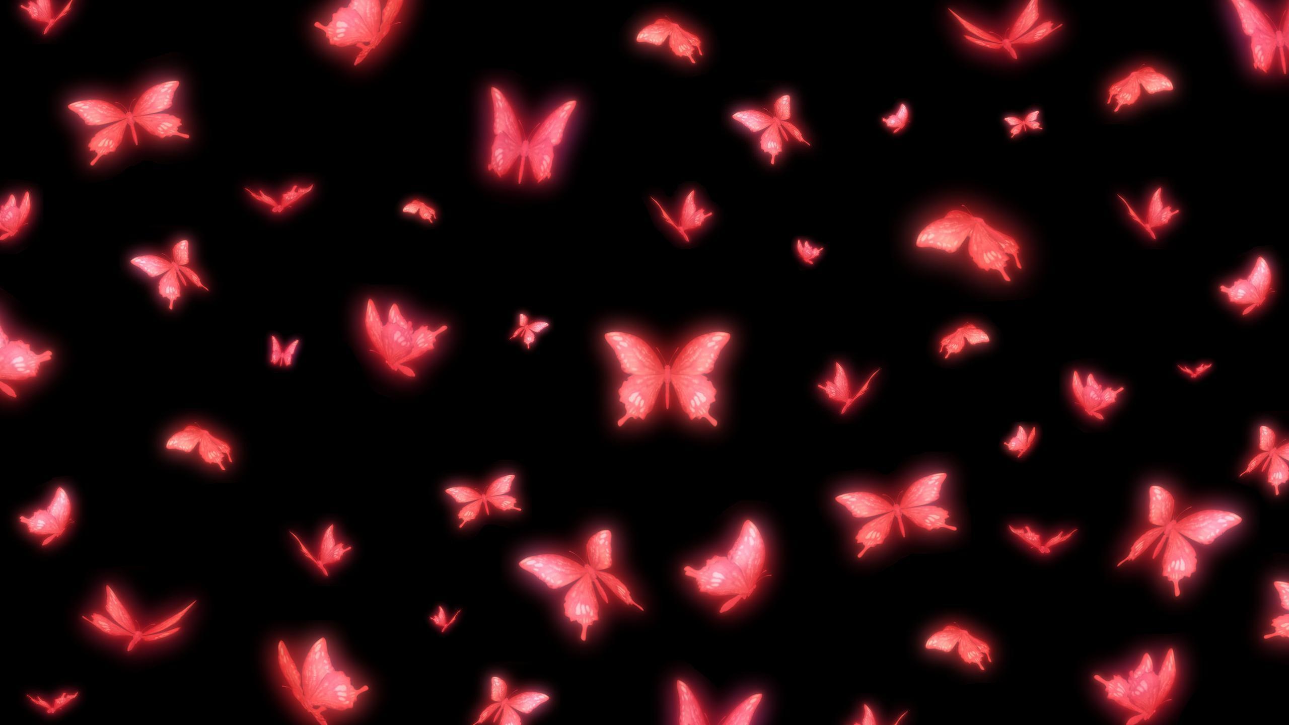 2560x1440 Fatal Frame 2 Wallpaper