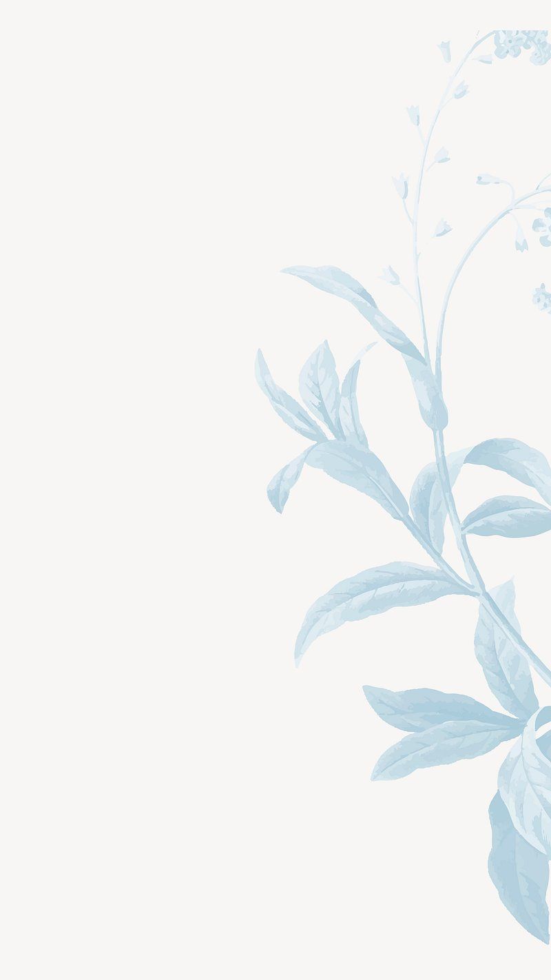800x1422 Minimalist Baby Blue Wallpaper Image Wallpaper