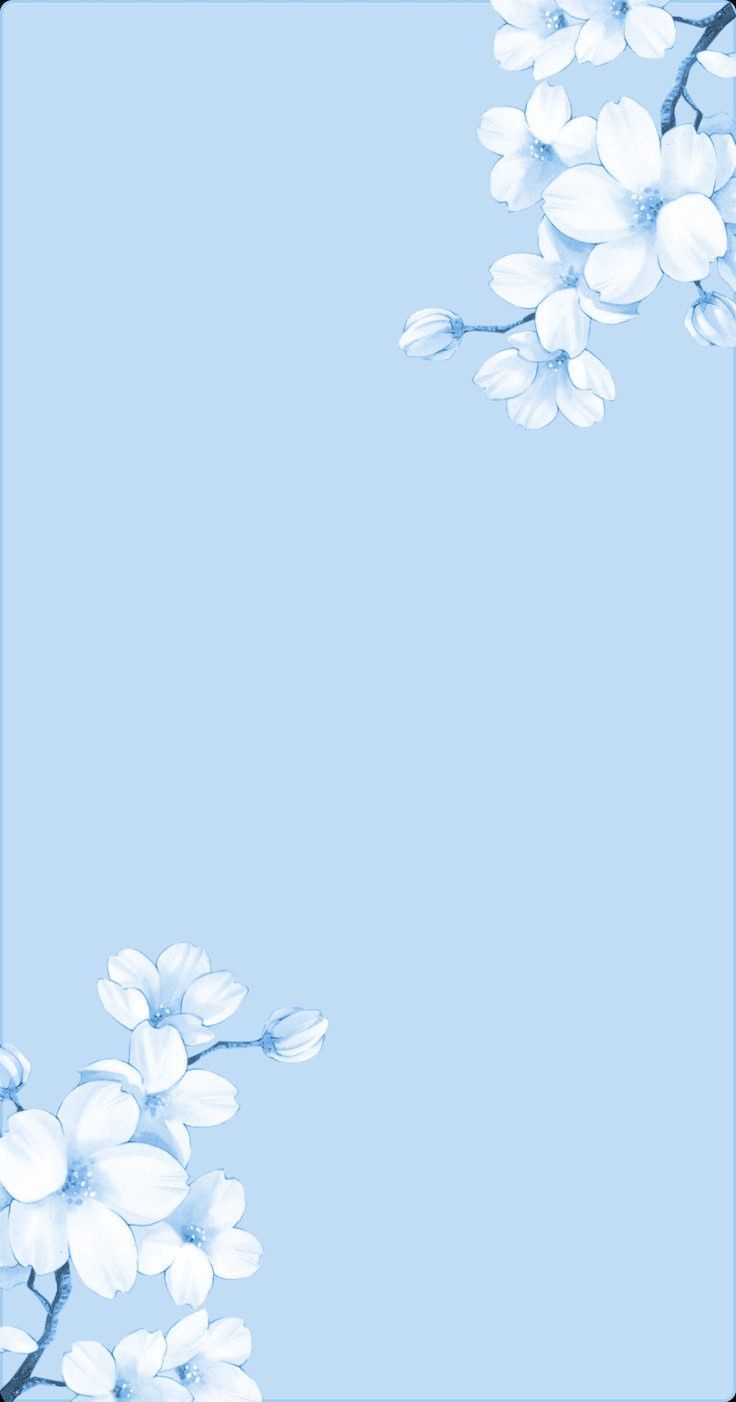 736x1402 ARTES. Blue flower wallpaper, Blue background wallpaper, Baby blue wallpaper