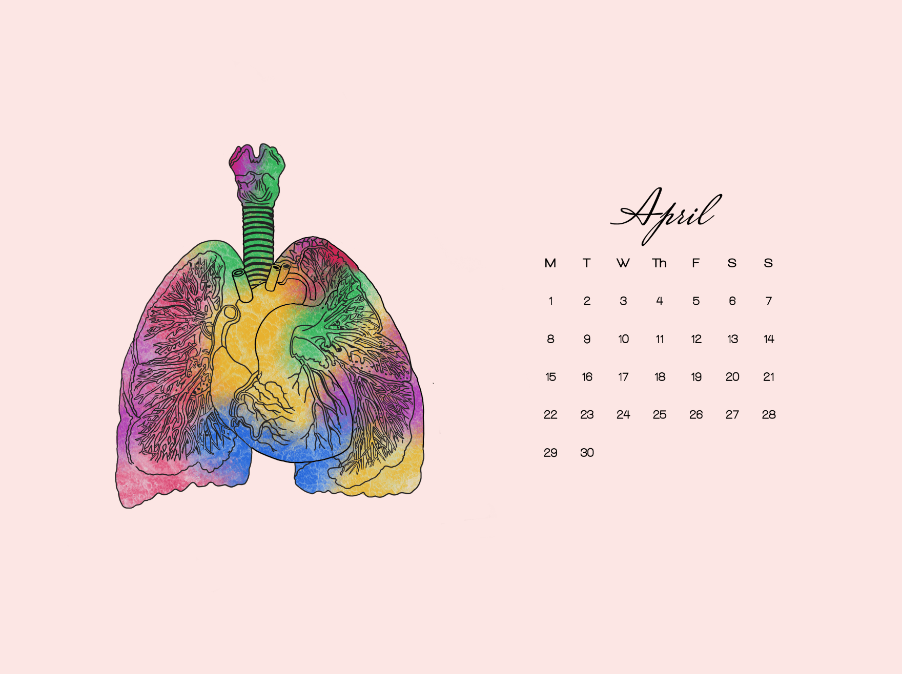1760x1316 Free Med Themed Desktop And Phone Wallpaper Young Doctor's Journey
