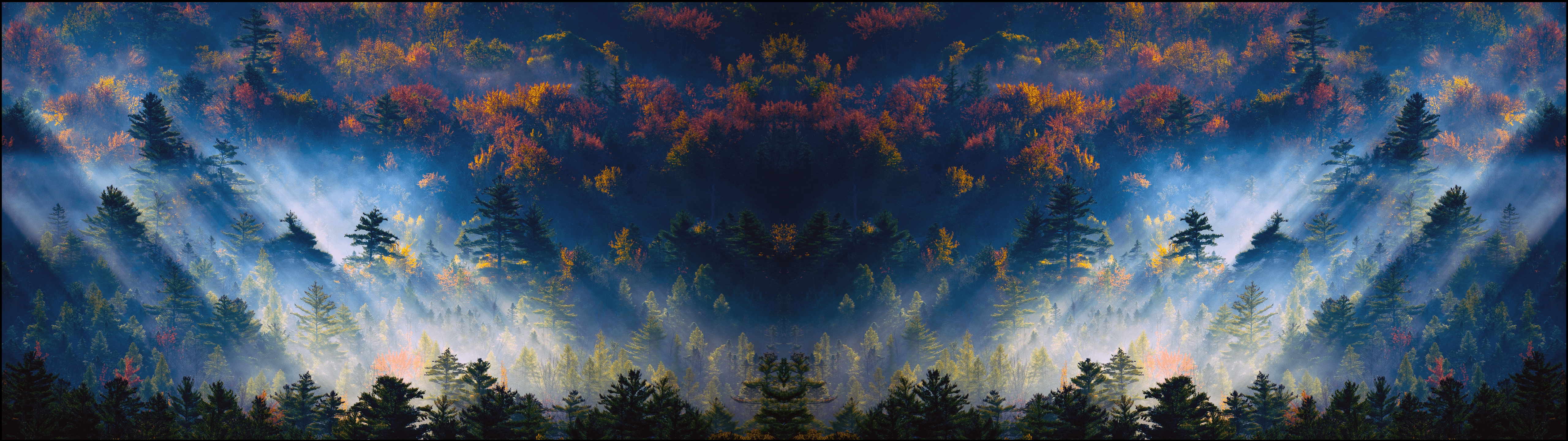 5120x1440 Forest of Light [3440x1440] + [5120x1440]