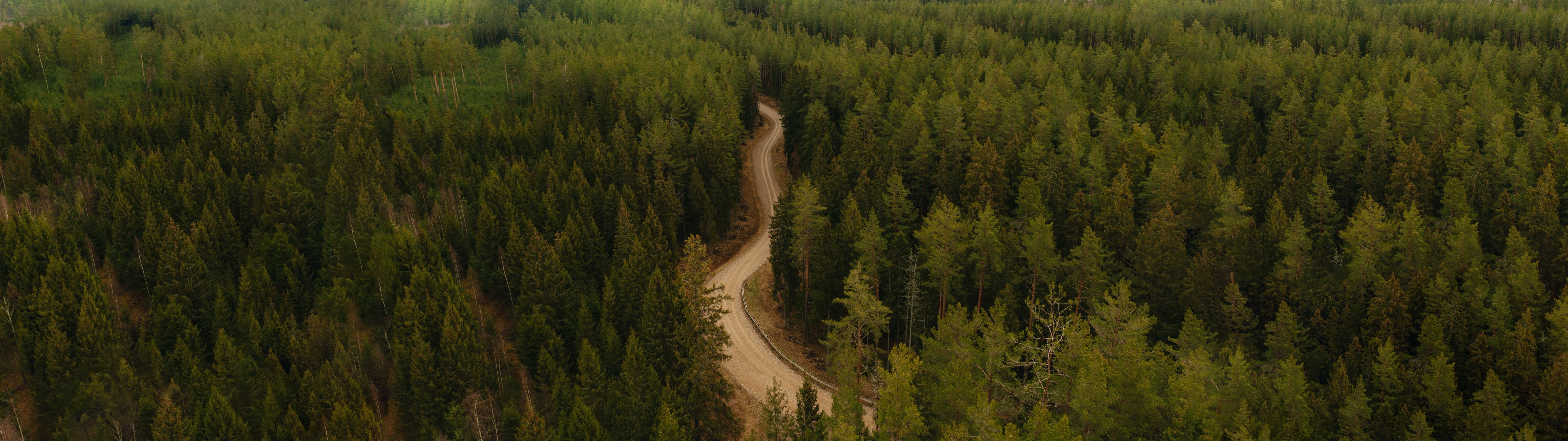 5120x1440 Forest Wallpaper