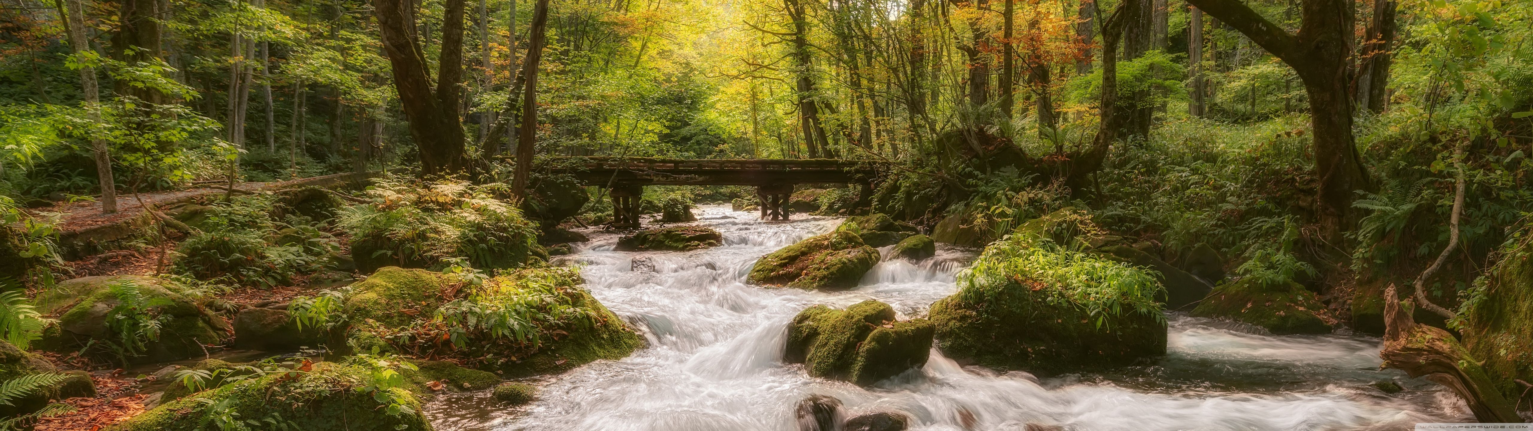 5120x1440 Forest Stream 4K UHD Wallpaper for UltraHD Desktop and TV : Widescreen and UltraWide Display : Dual Monitor : Smartphone and Tablet Devices