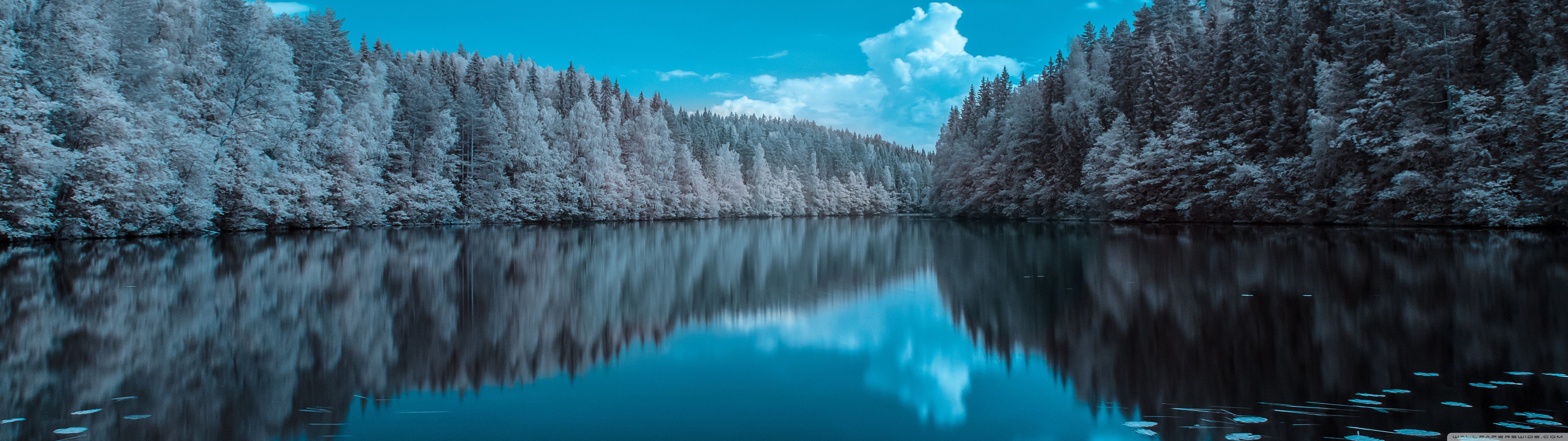5120x1440 Finland Forest Lake 4K UHD Wallpaper for UltraHD Desktop and TV : Widescreen and UltraWide Display : Dual Monitor : Smartphone and Tablet Devices