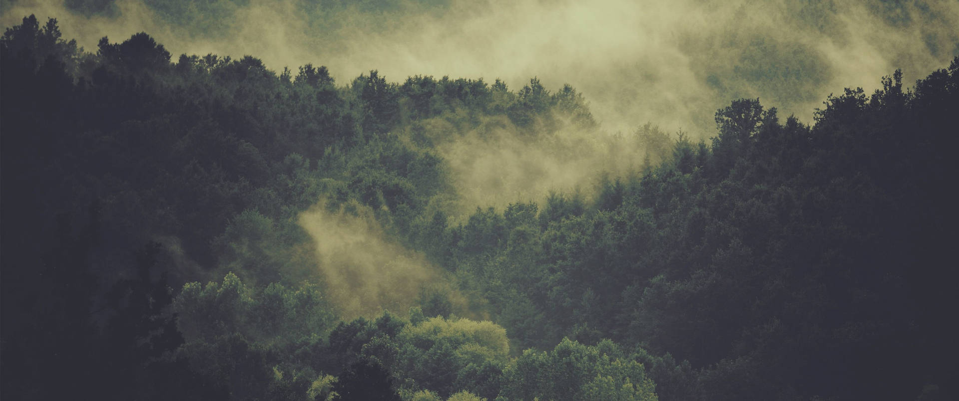 1920x804 Download Ultrawide Wallpaper