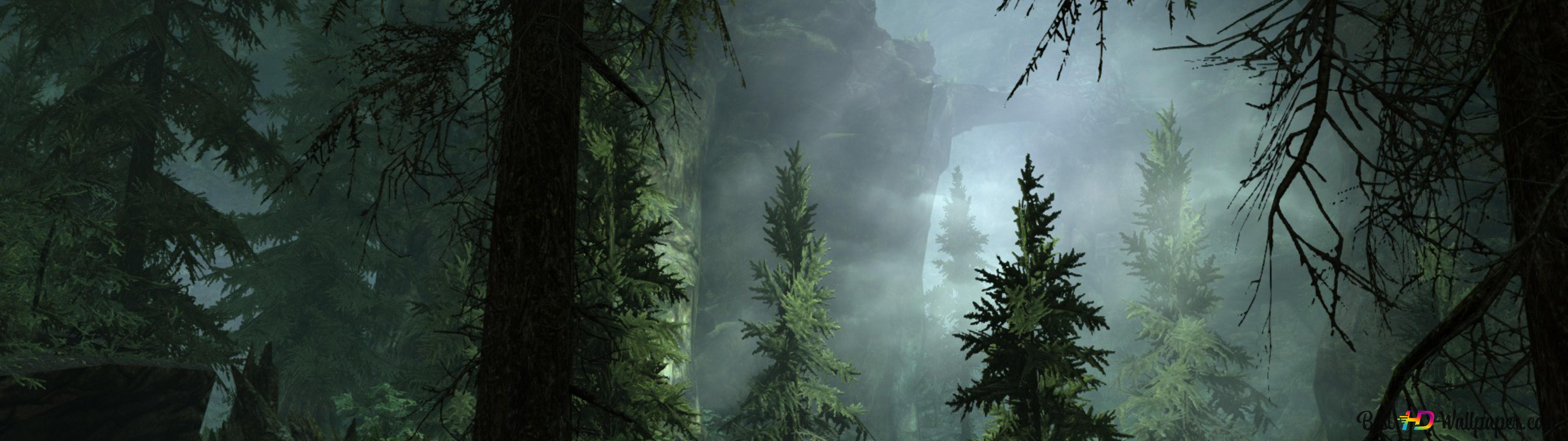 5120x1440 Foggy Night in Forest 4K wallpaper download