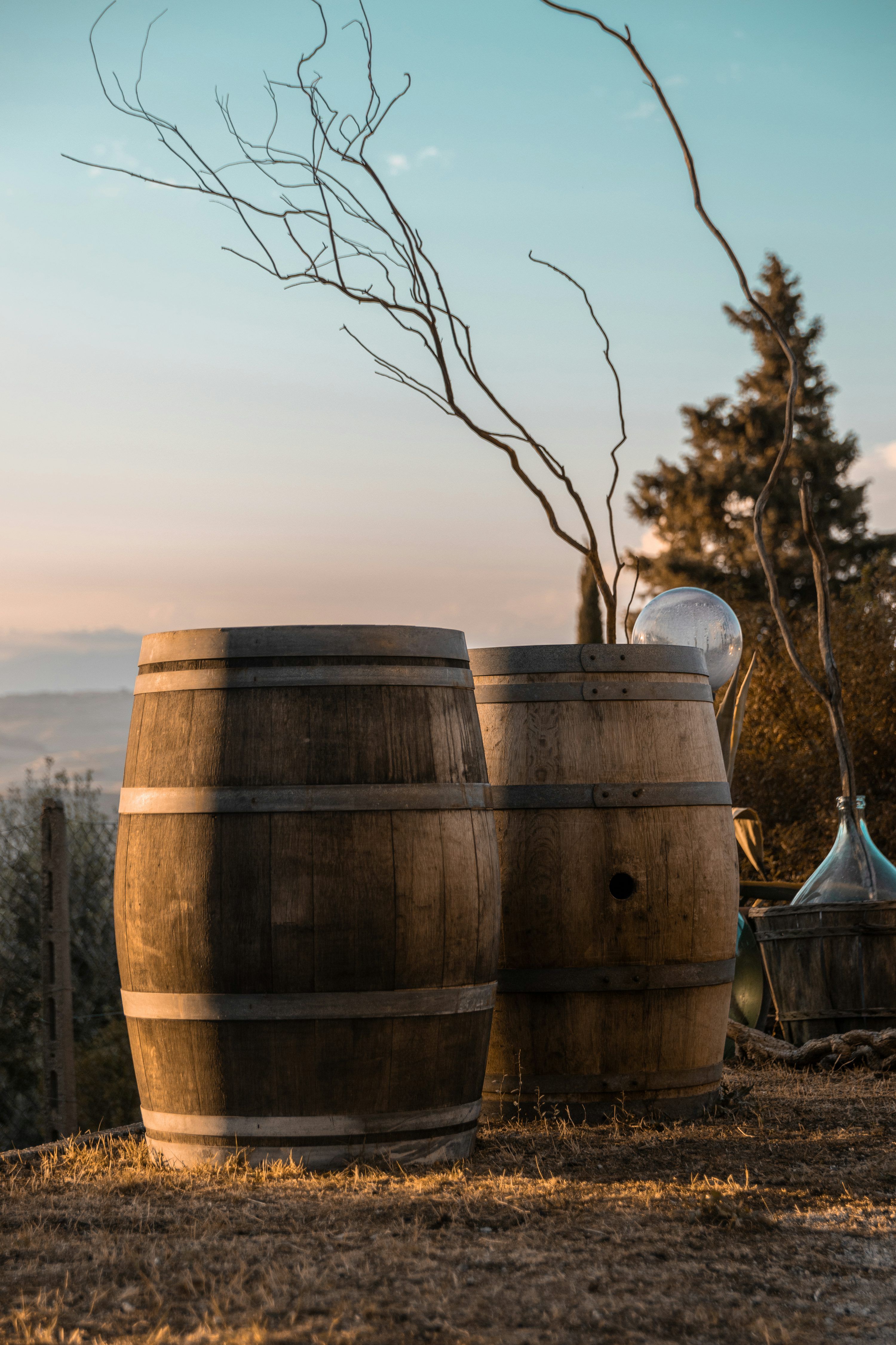 3000x4500 Wine Barrel Picture. Download Free Image