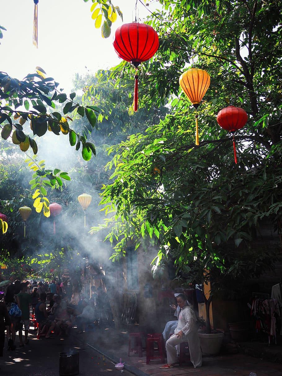 910x1213 HD wallpaper: vietnam, hội an, trees, lantern, hoi an, people, street, plant