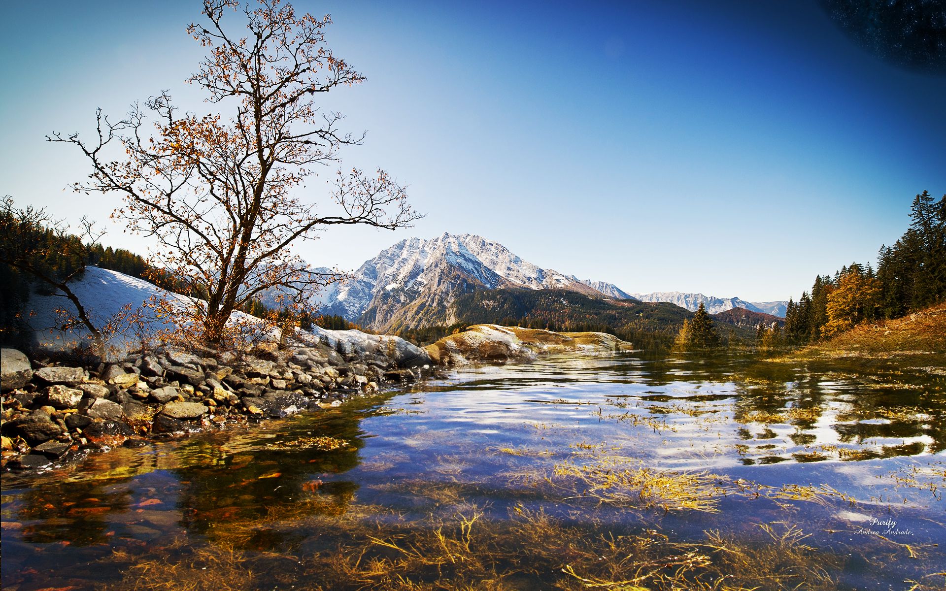 1920x1200 first frost