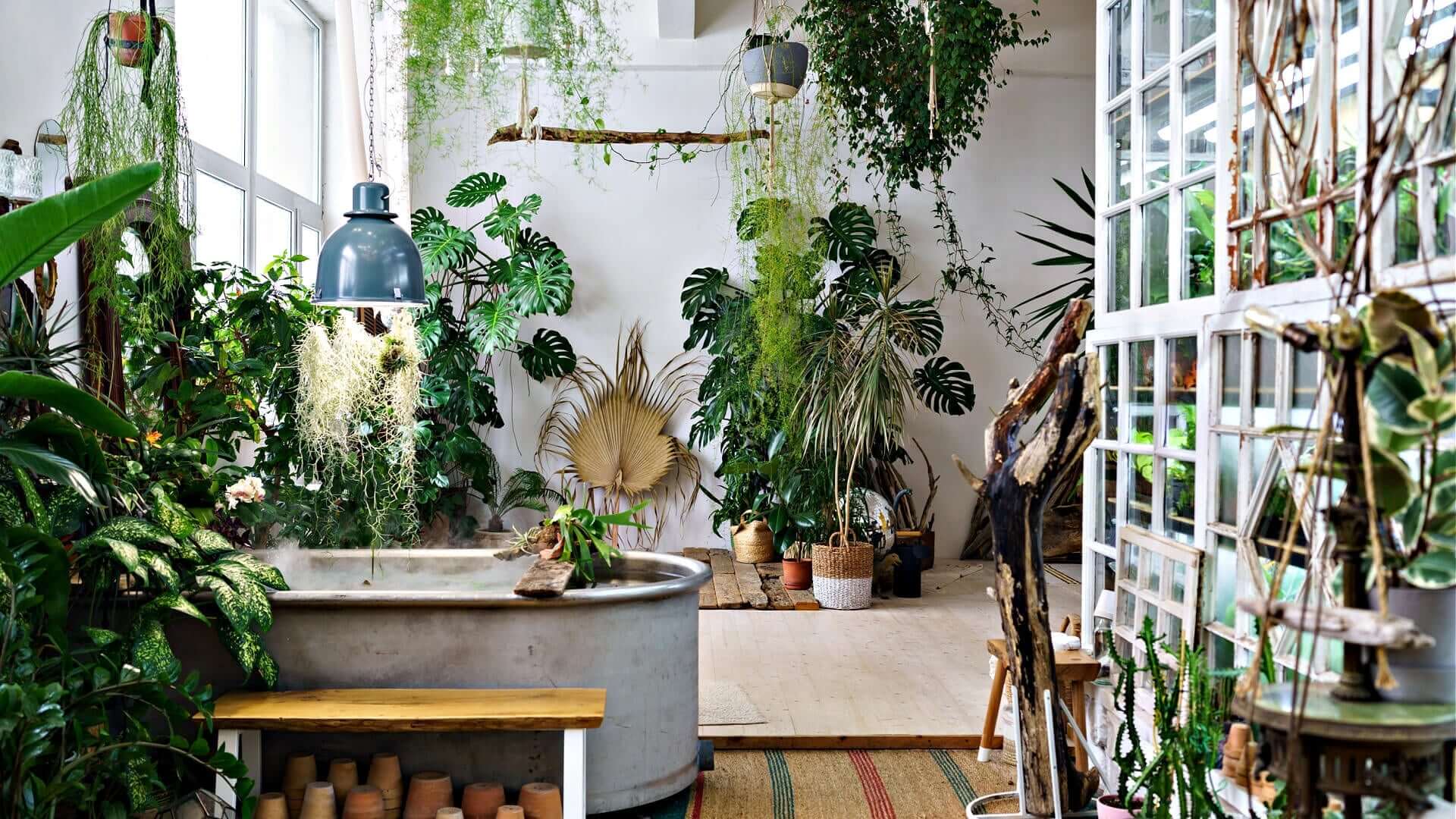 1920x1080 Cultivating Green Spaces Inside Your Home