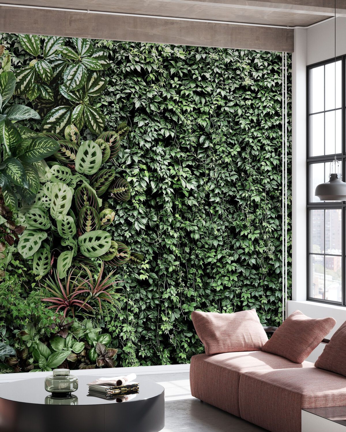 1200x1500 Wall Ivy Plants