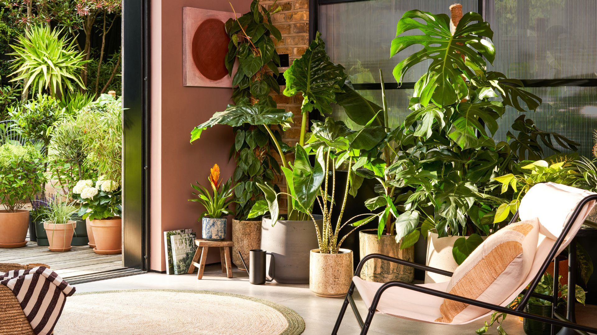1920x1080 Types of Tropical Houseplants for Your Indoor Garden