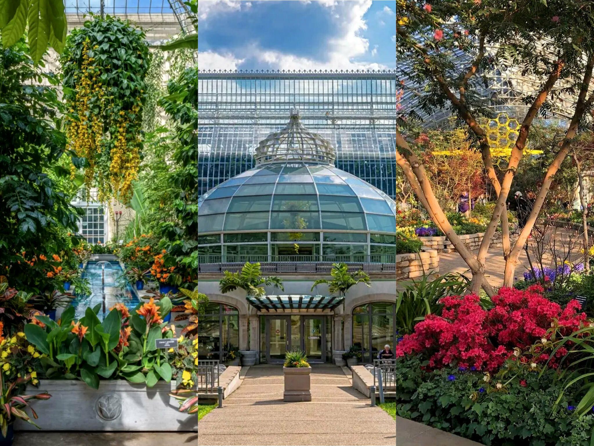 2048x1536 America's Coolest Indoor Botanical Gardens, Conservatories and Green Spaces
