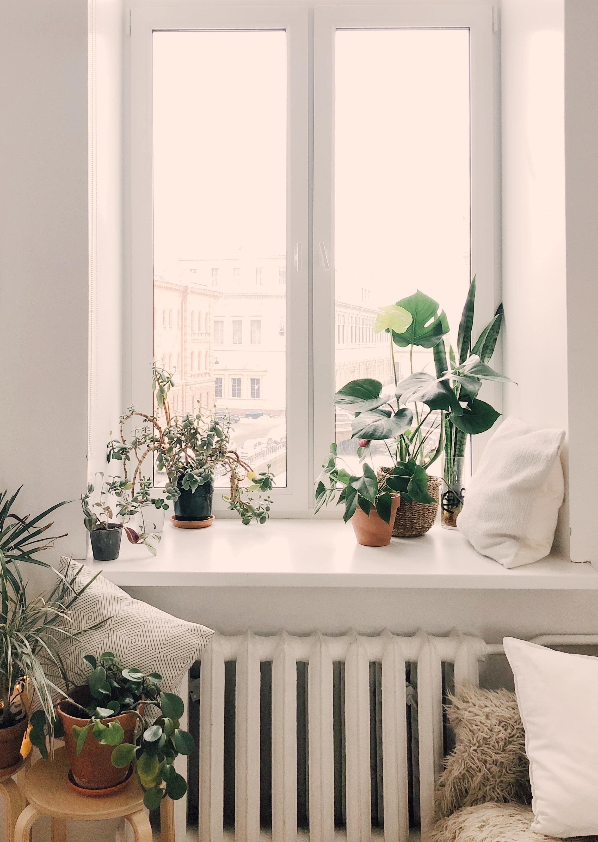 2295x3230 How to Have an Indoor Garden in Your Apartment