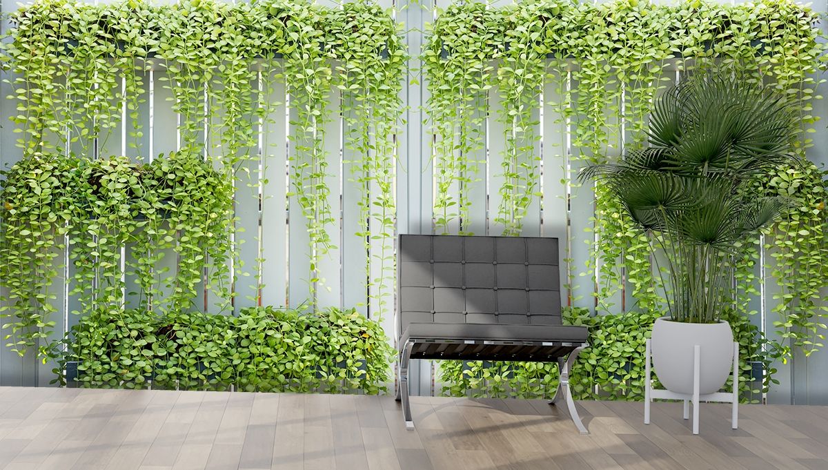 1200x681 Indoor Vertical Green Wall with Hanging Plants Wallpaper®