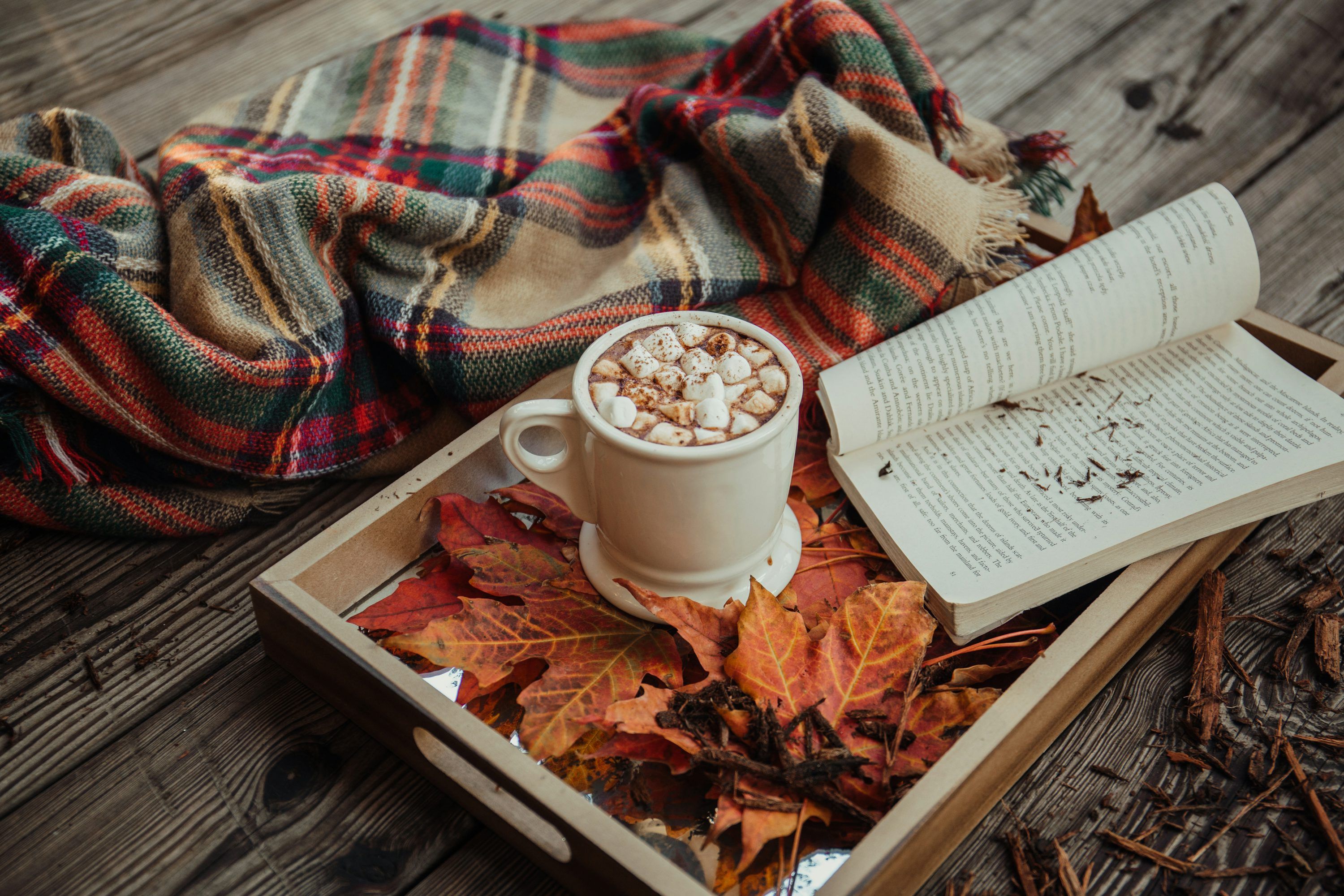 3000x2000 Cozy Autumn Picture. Download Free Image