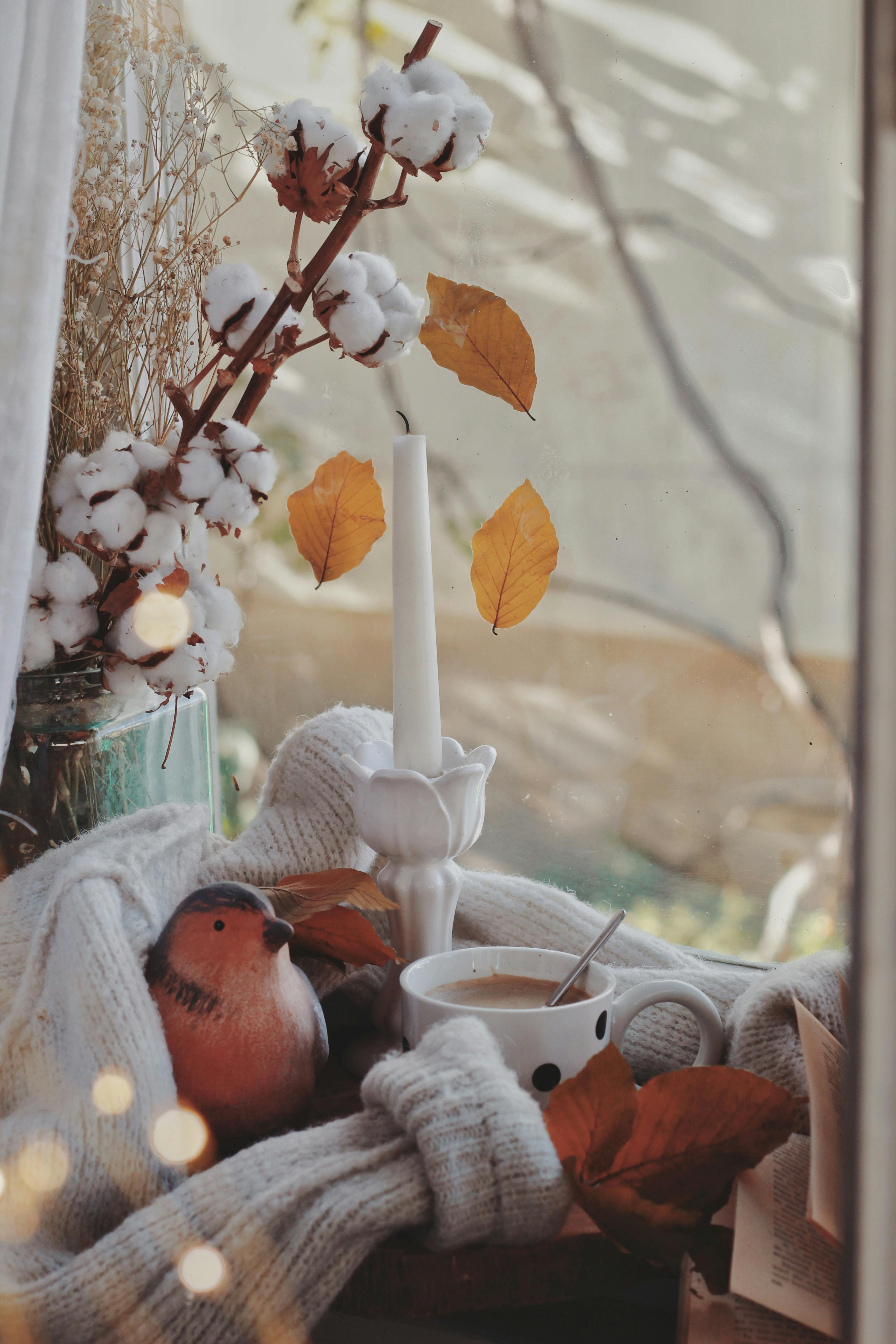 3456x5184 Cozy Autumn Photo, Download The BEST Free Cozy Autumn & HD Image