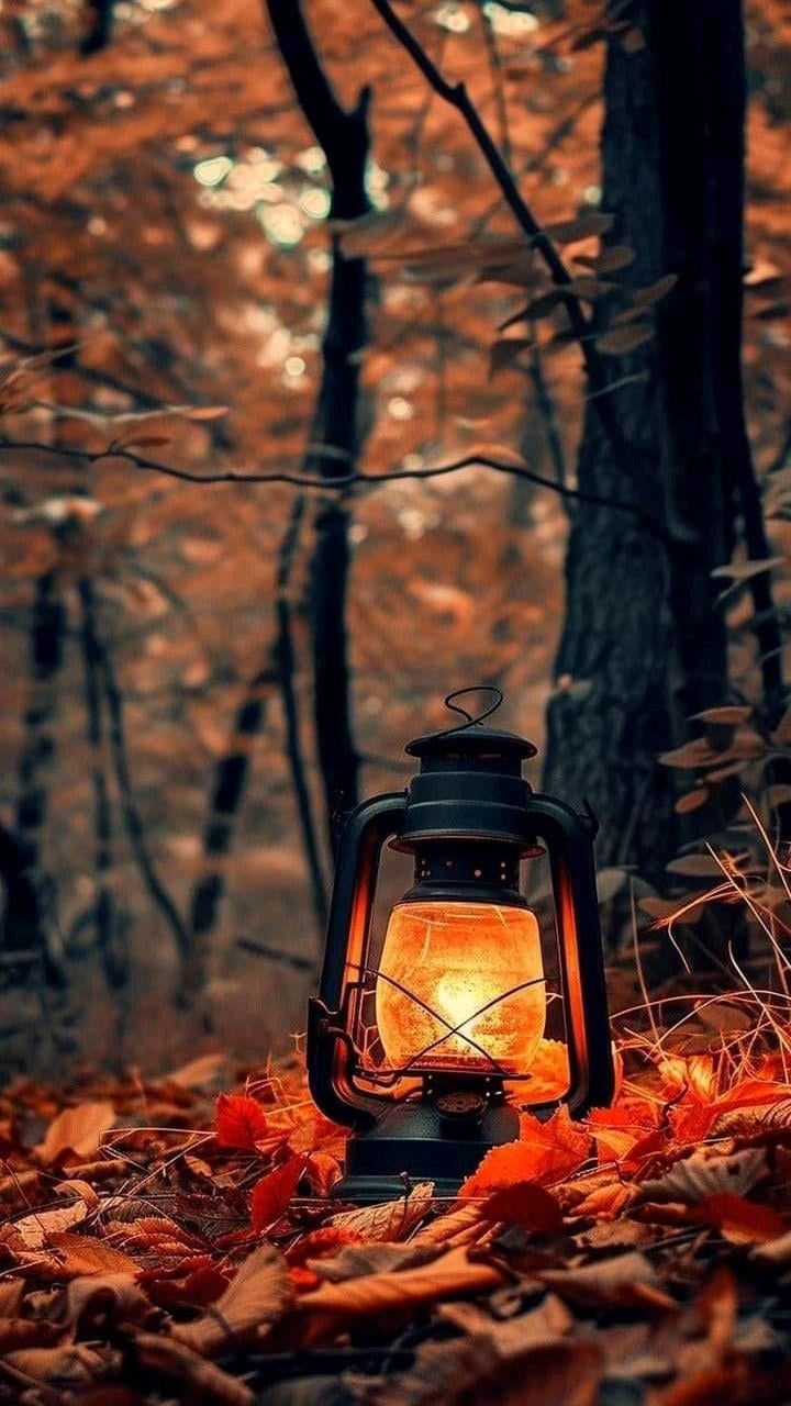720x1280 Cozy Fall Vibes