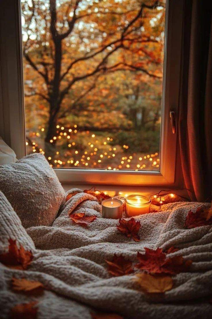 736x1104 Natur. Cute fall wallpaper, Fall wallpaper, Cozy fall bedroom