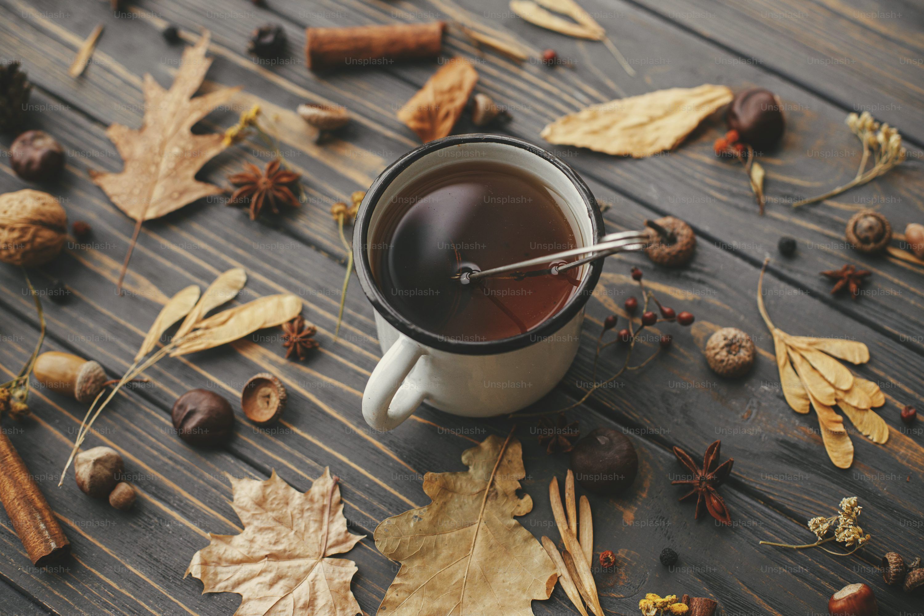 3000x2000 Cozy Autumn Picture. Download Free Image