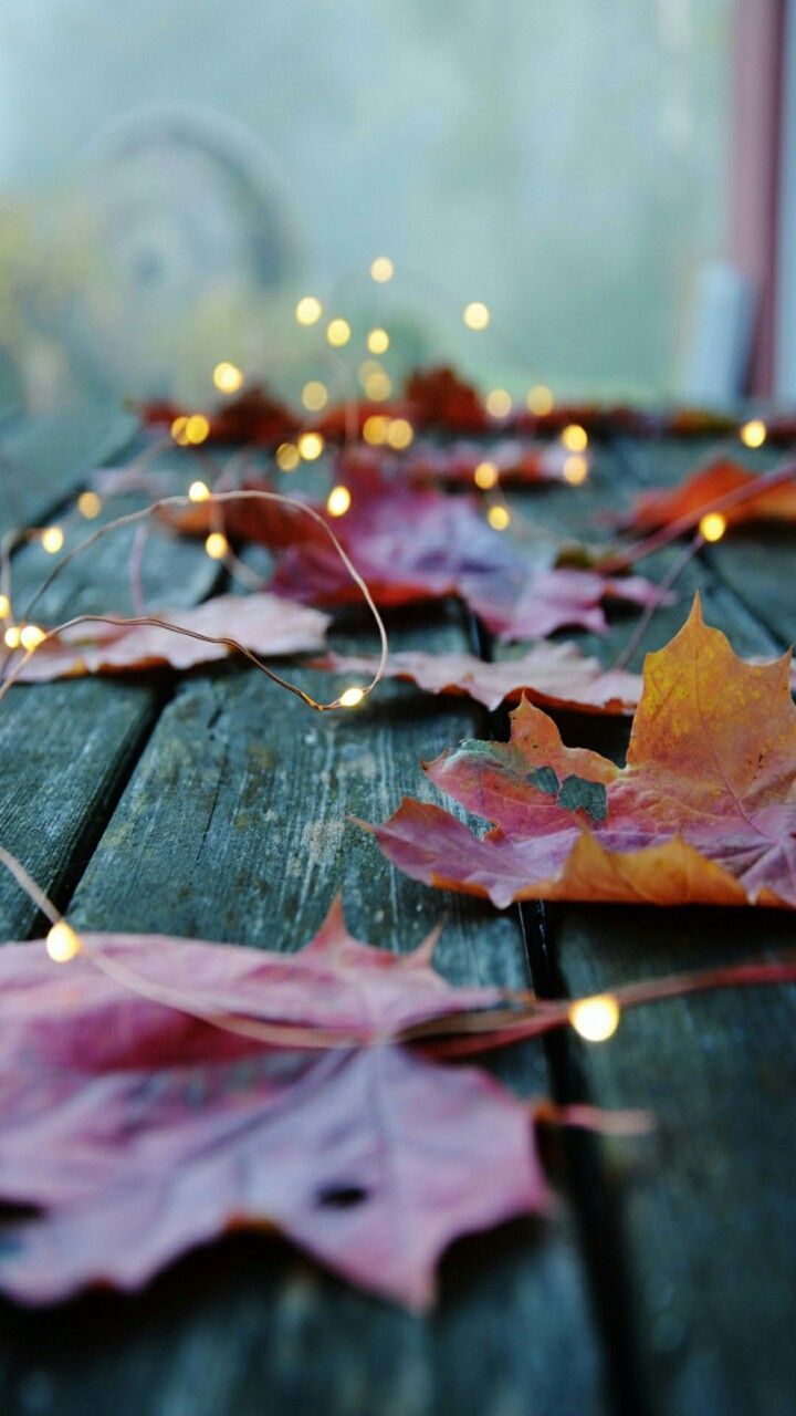 720x1280 Autumn Cozy Wallpaper
