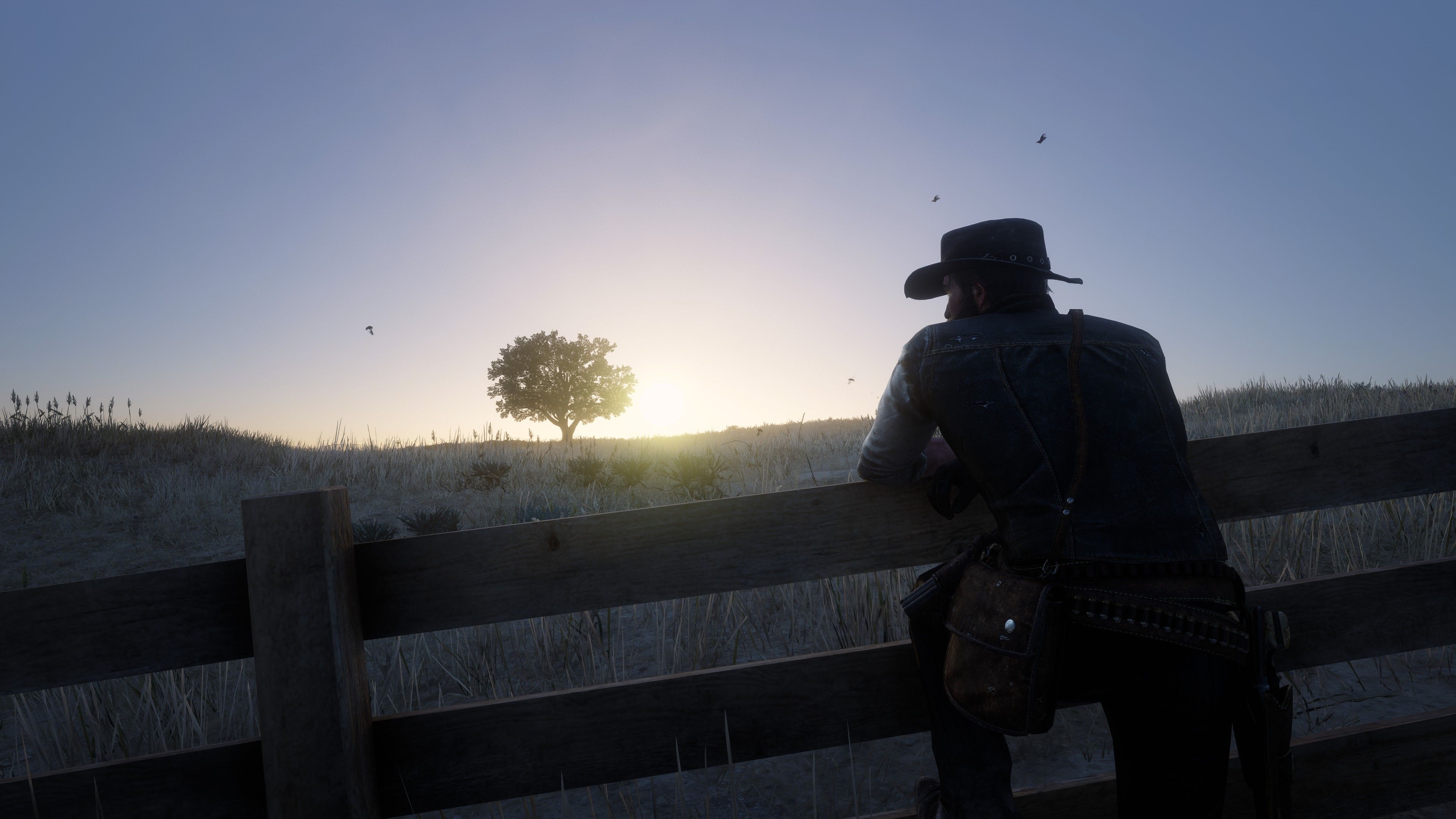 3840x2160 Some Screenshots i made in Red Dead Redemption 2 (4k)