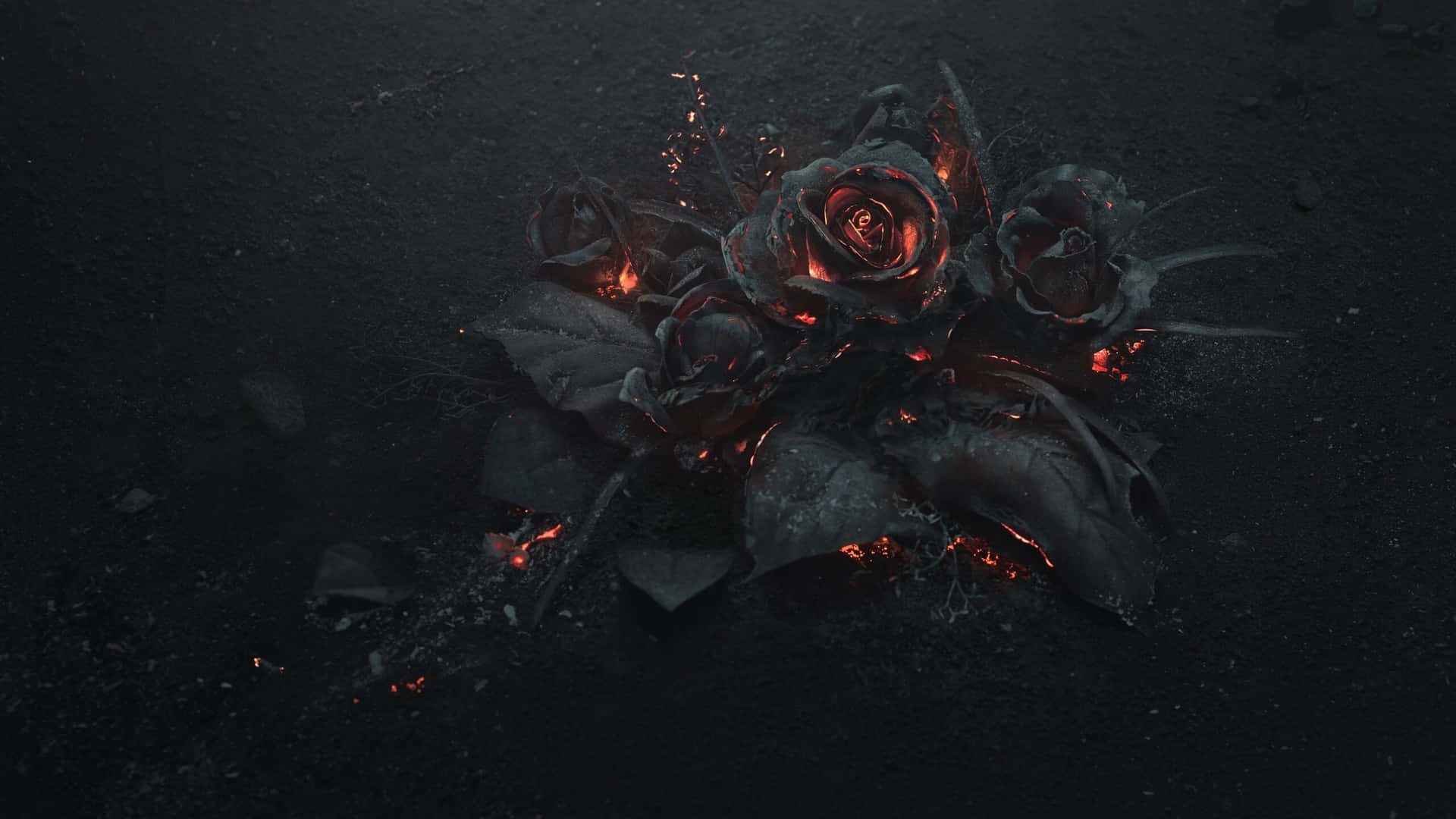 1920x1080 Download 1440p Black Roses With Fire Background