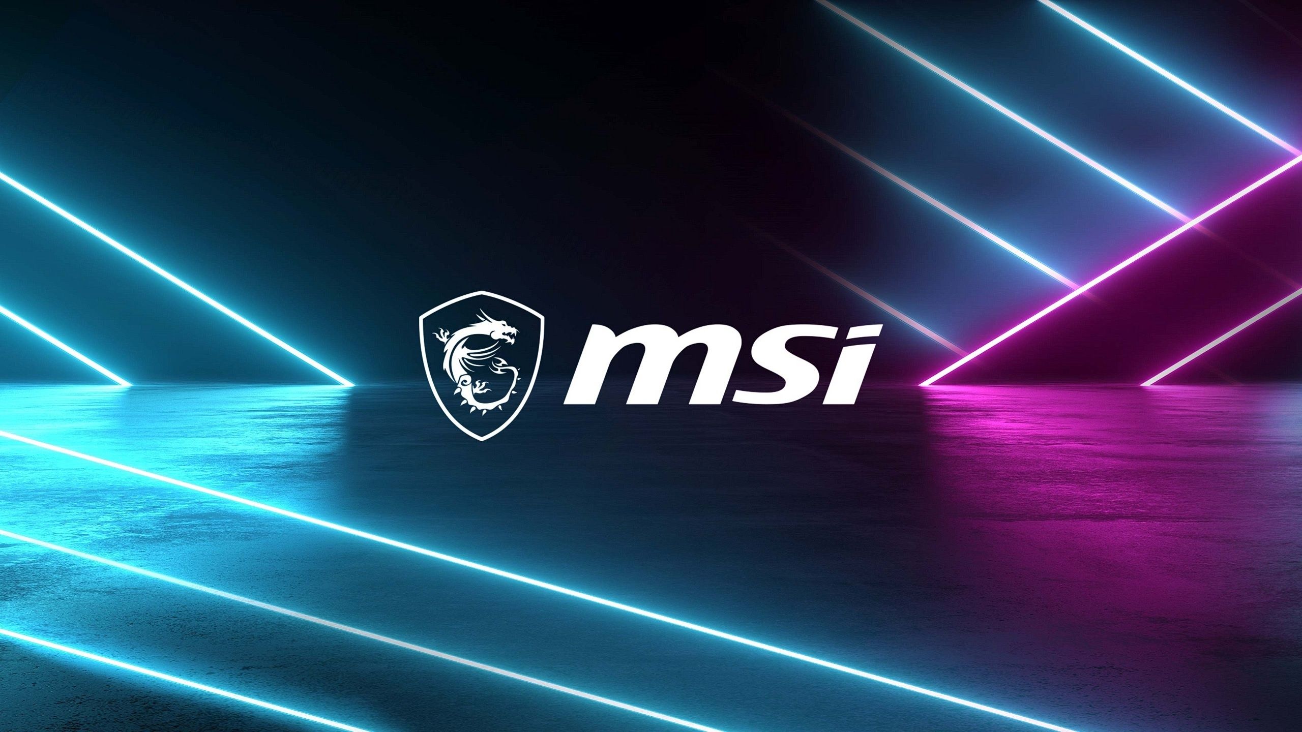 2560x1440 Wallpaper The Dark Background, Logo, Neon, Logo, Brand, Gaming, MAG, MSI For Mobile And Desktop, Section Hi Tech, Resolution 2560x1440
