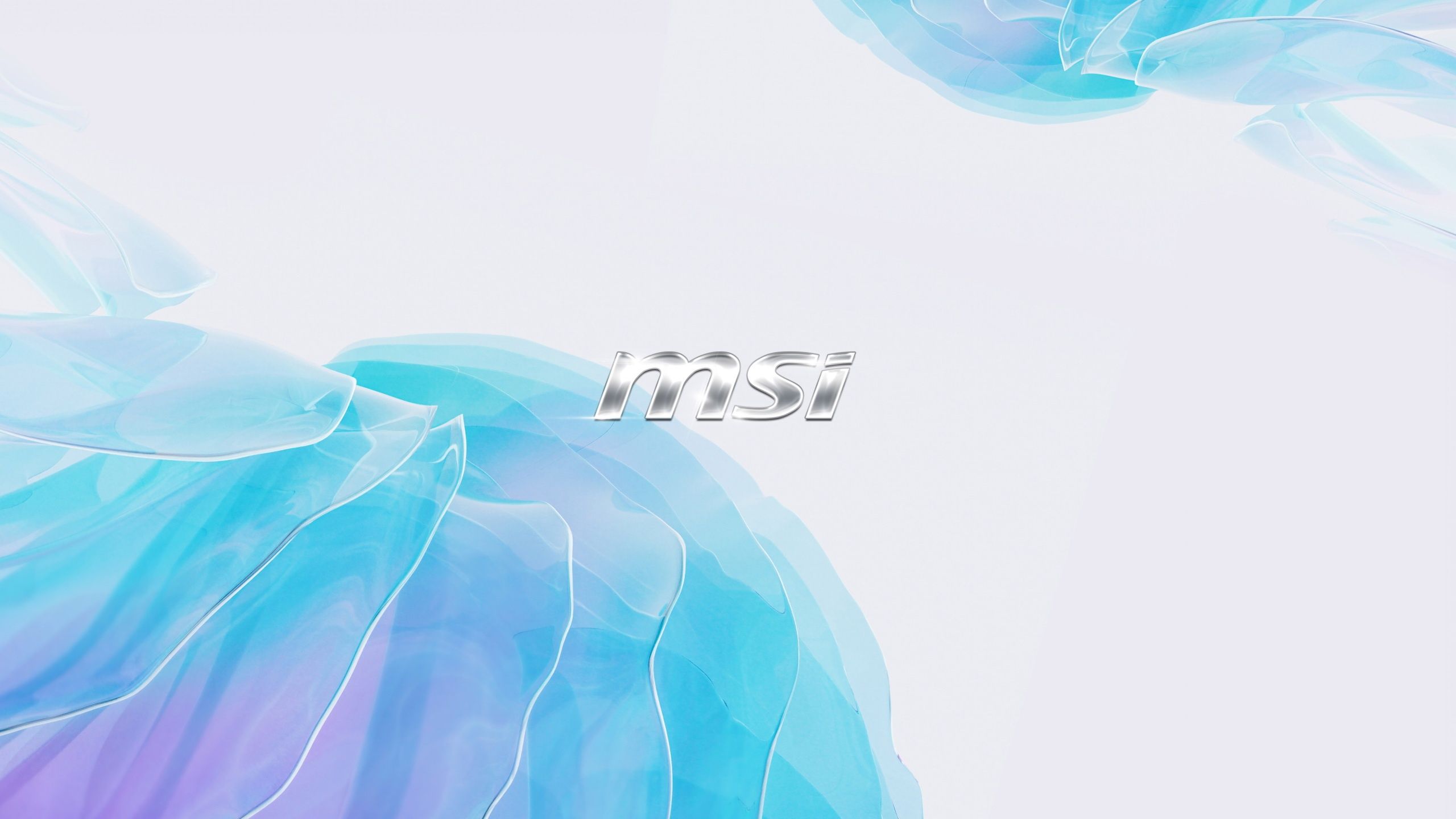 2560x1440 Wallpaper Logo, Logo, Light Background, Brand, Gaming, Material, MSI, Micro Star International For Mobile And Desktop, Section Hi Tech, Resolution 2560x1440