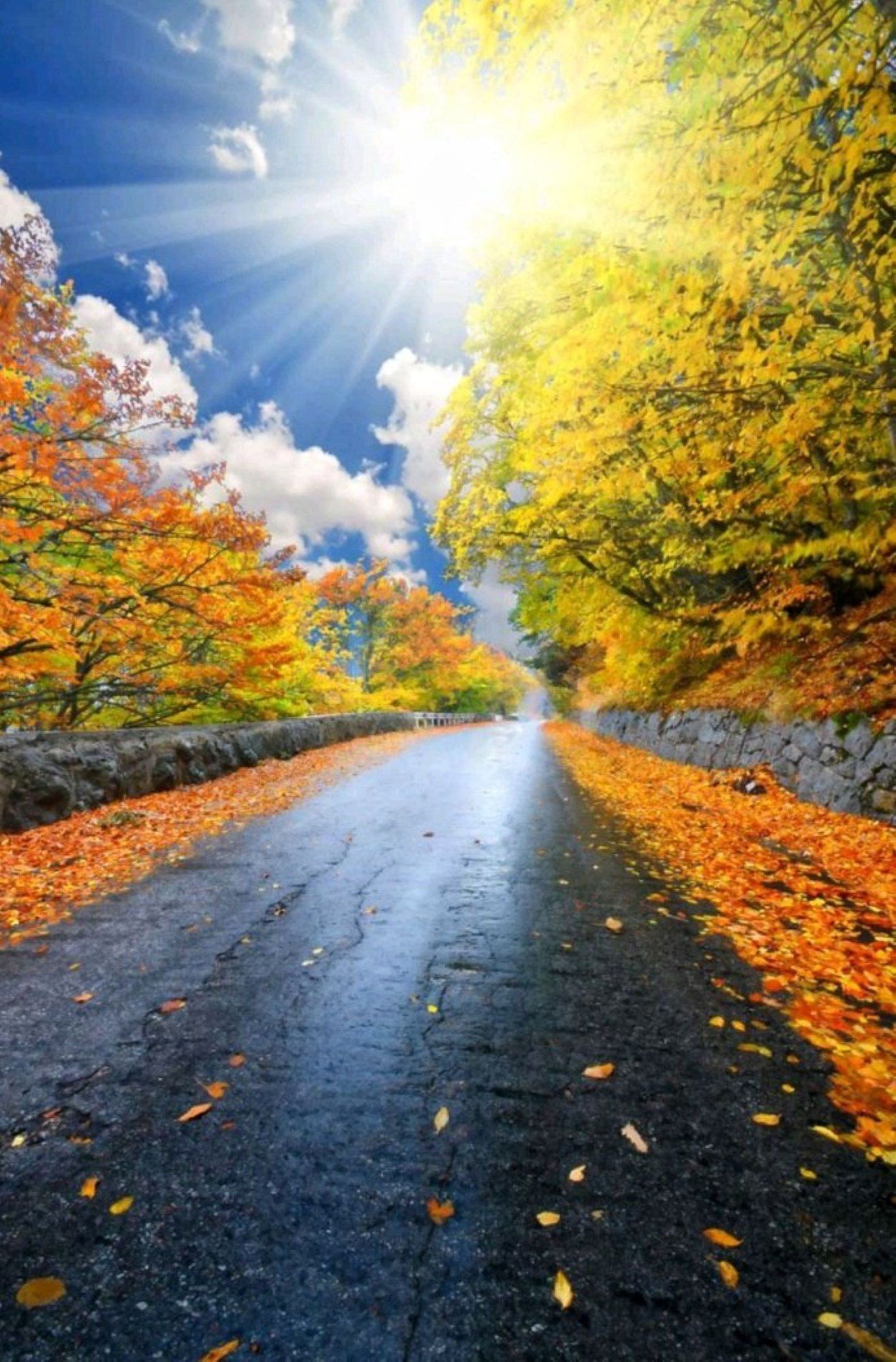 1315x2000 PVC HD Non Woven Vinyl Nature HD Wallpaper At ₹ 40 Square Feet In Kolkata