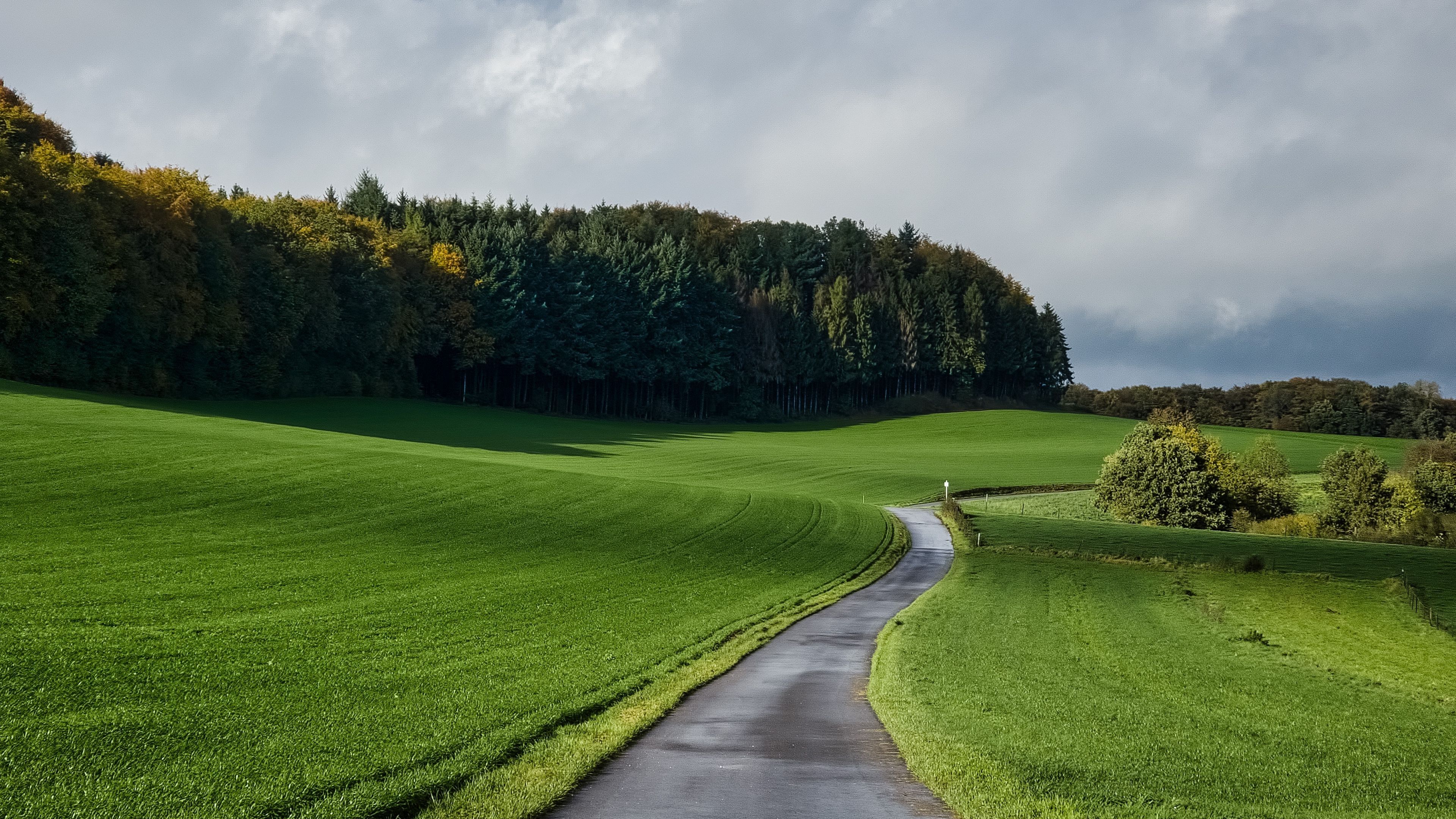 3840x2160 road path grass field clouds sky forest nature landscape wallpaper background 4K HD Nature Wallpaper